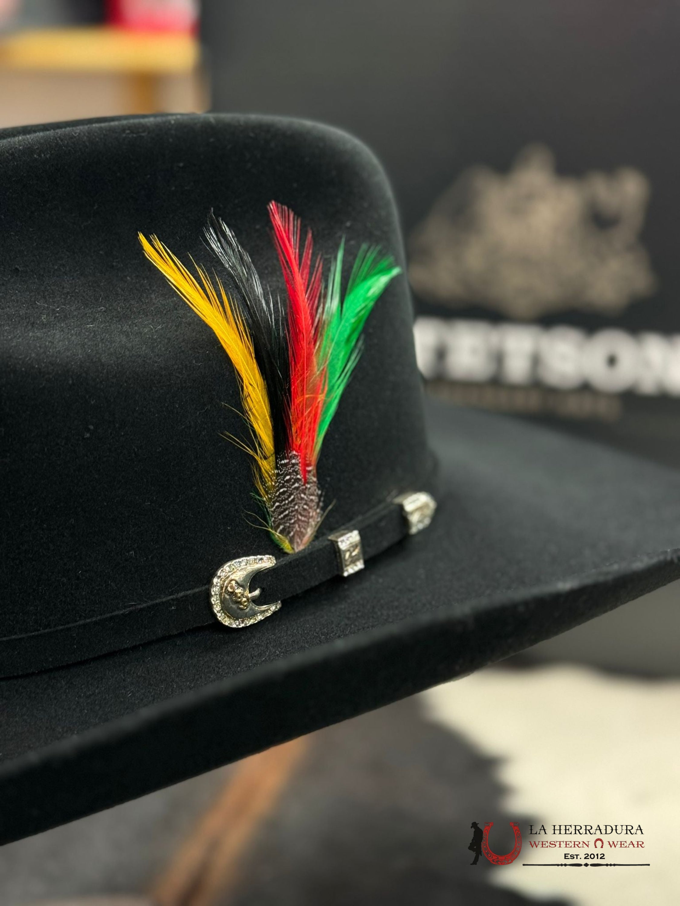 Stetson 10X Shasta Black Tejana