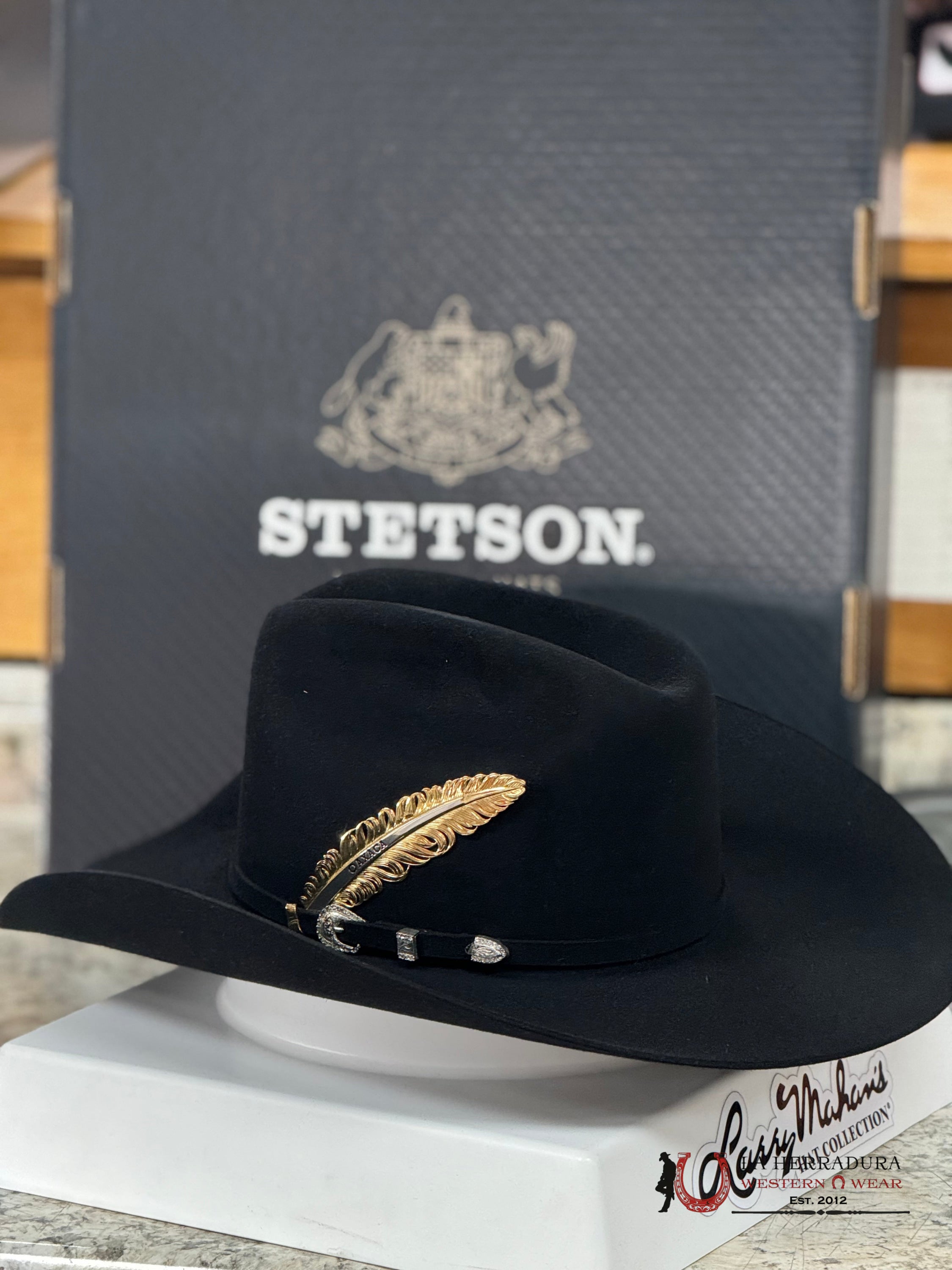 Stetson 10X Shasta Black Tejana