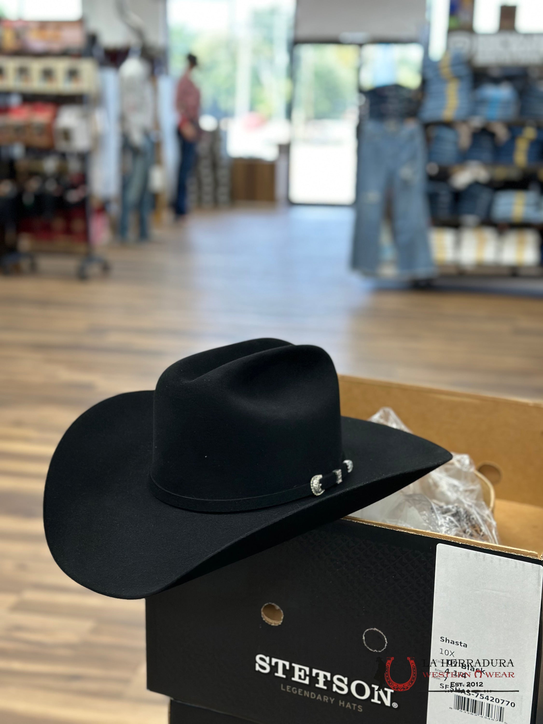 Stetson 10X Shasta Black Tejana