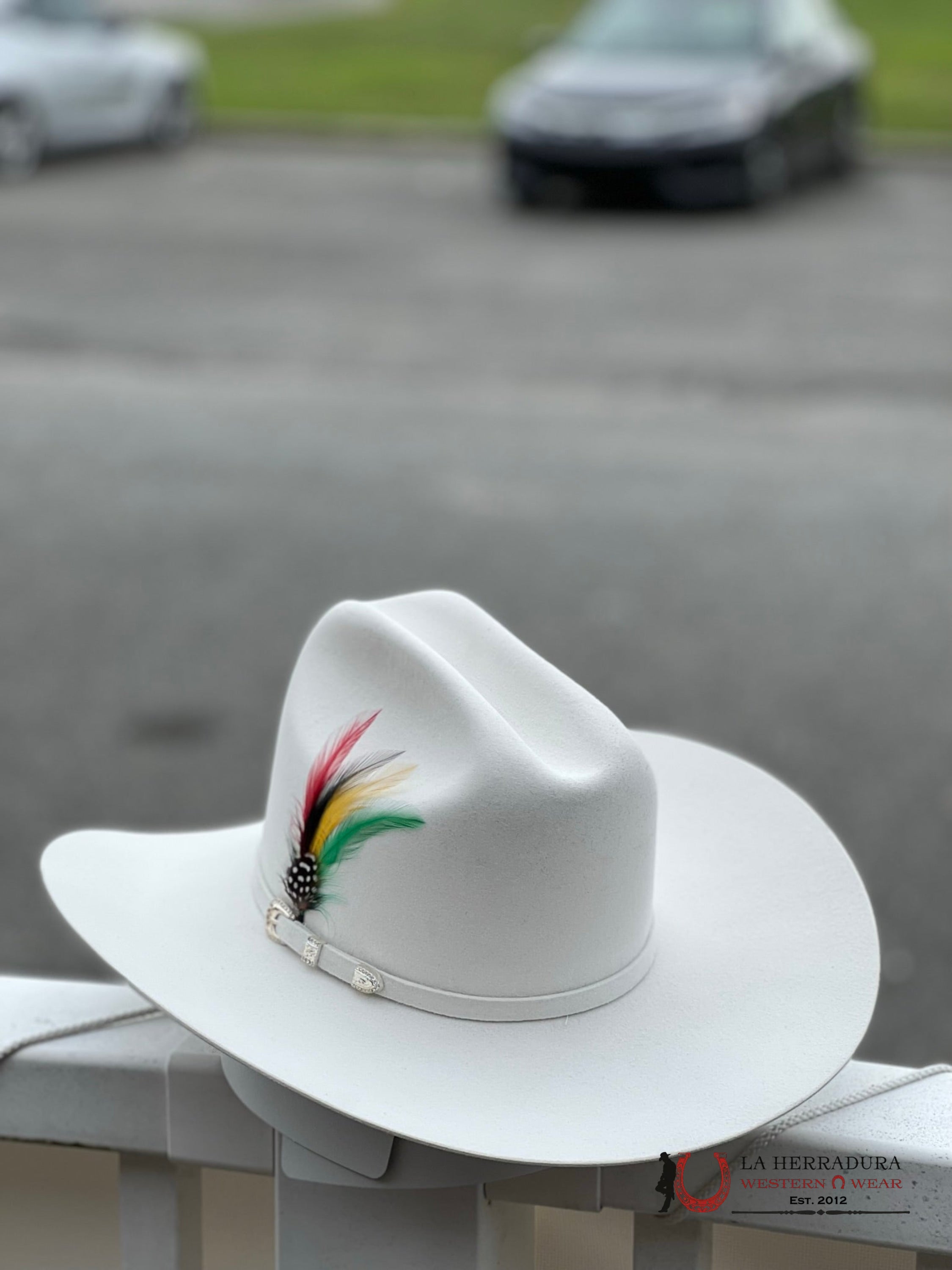 Stetson 10X Shasta Blanco Tejana