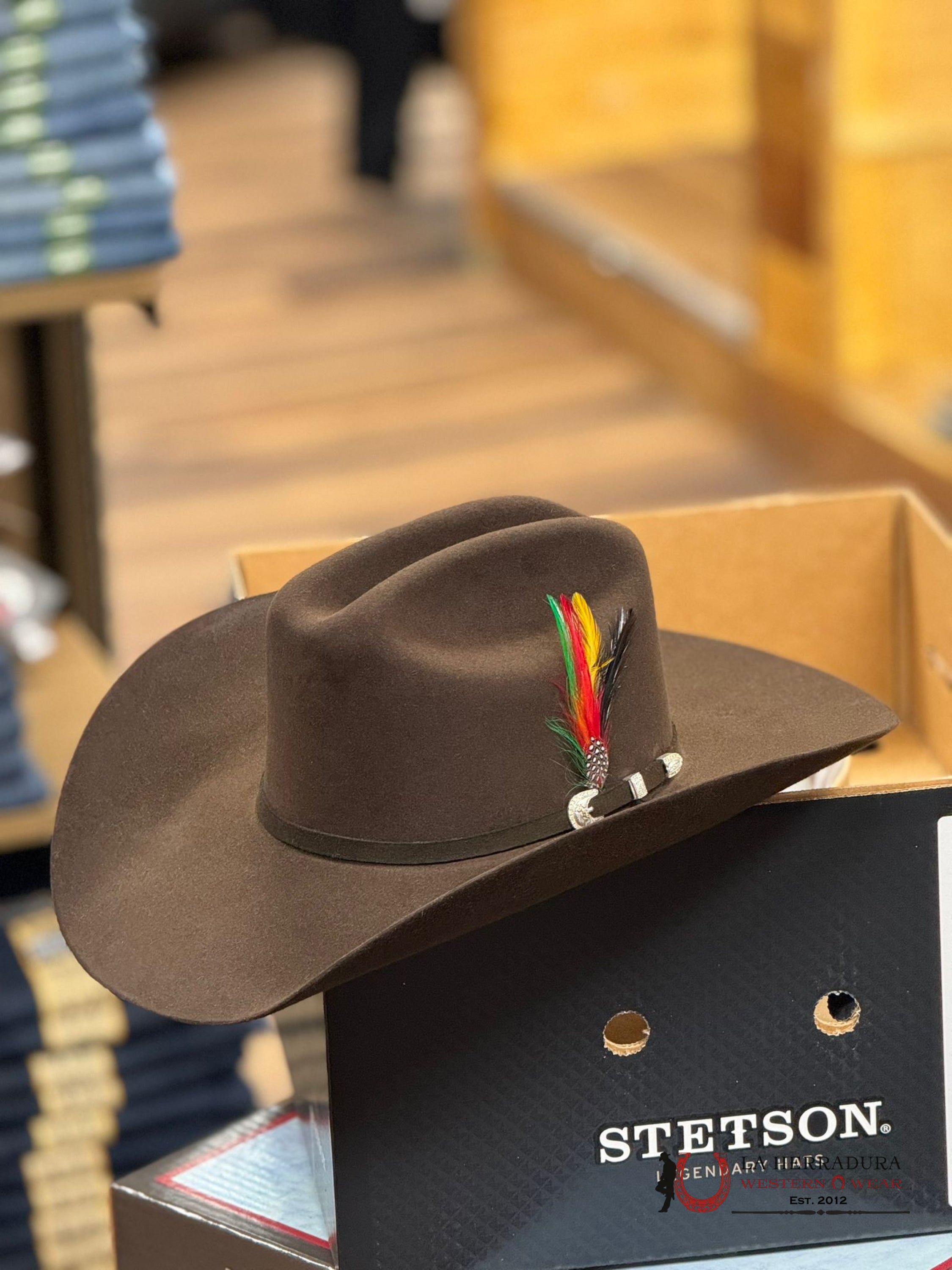 Stetson 10X Shasta Chocolate Tejana