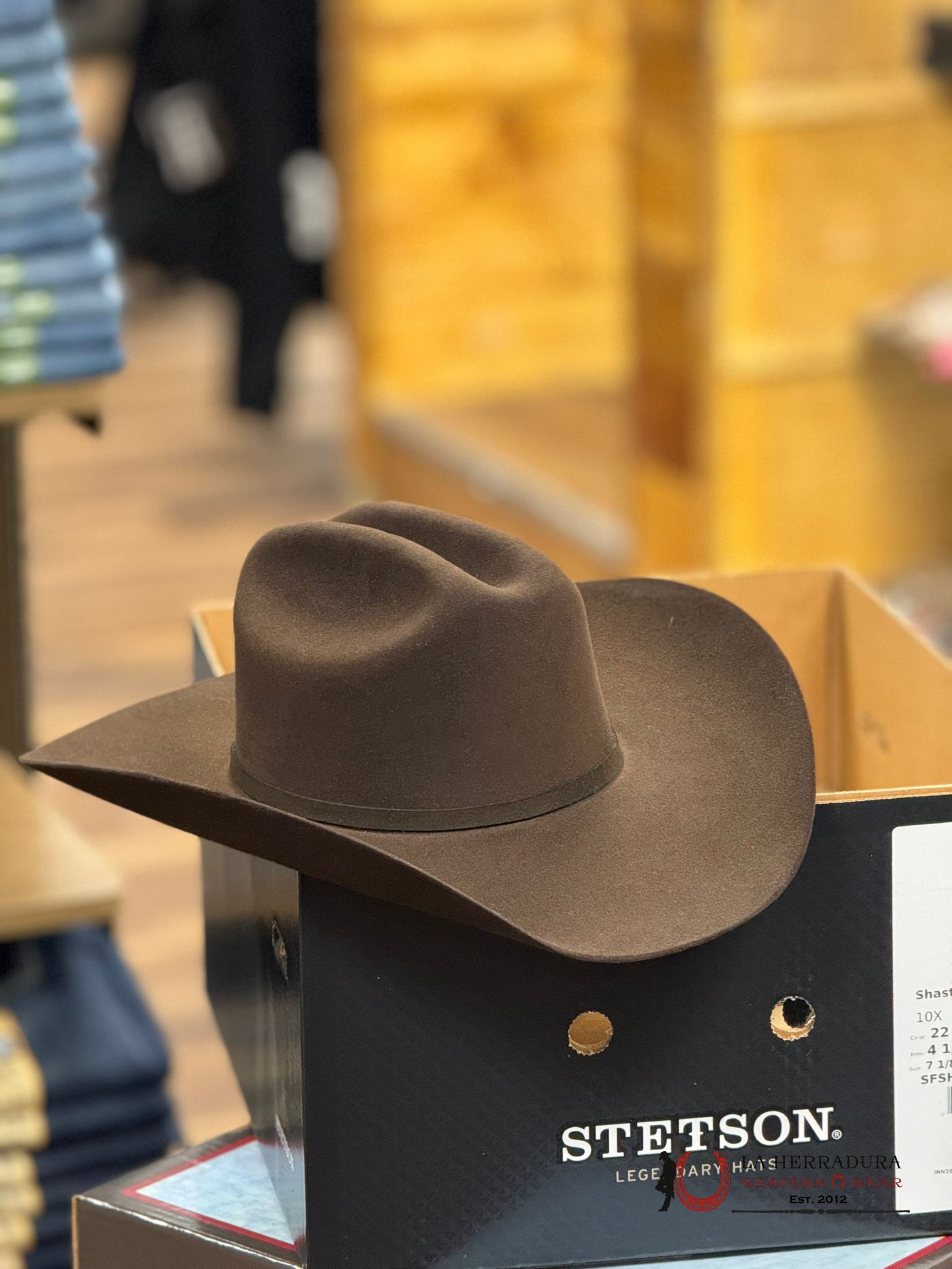 Stetson 10X Shasta Chocolate Tejana