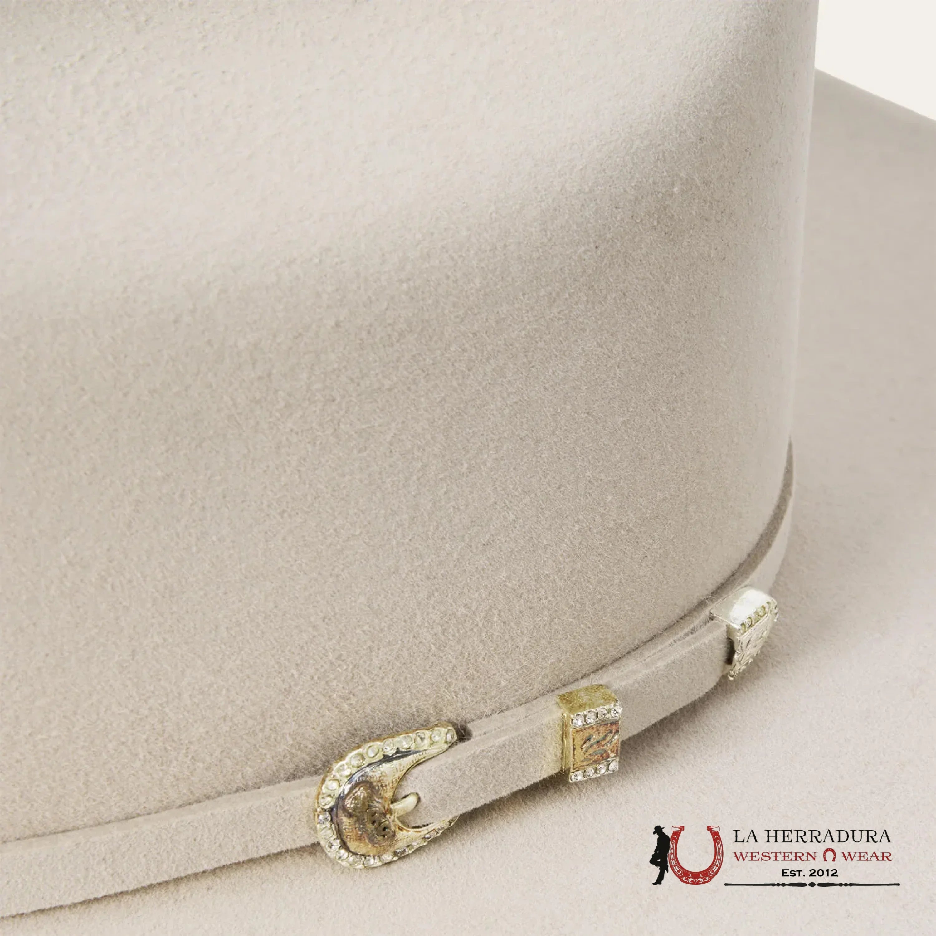 Stetson 10X Shasta Silver Belly Tejana