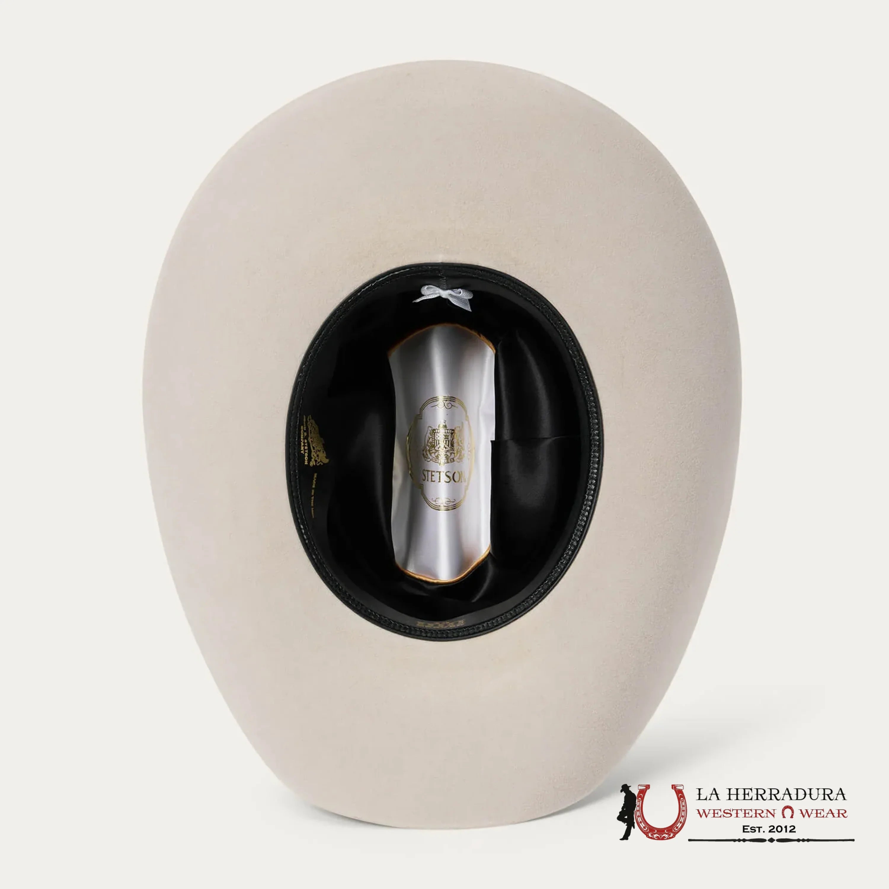 Stetson 10X Shasta Silver Belly Tejana