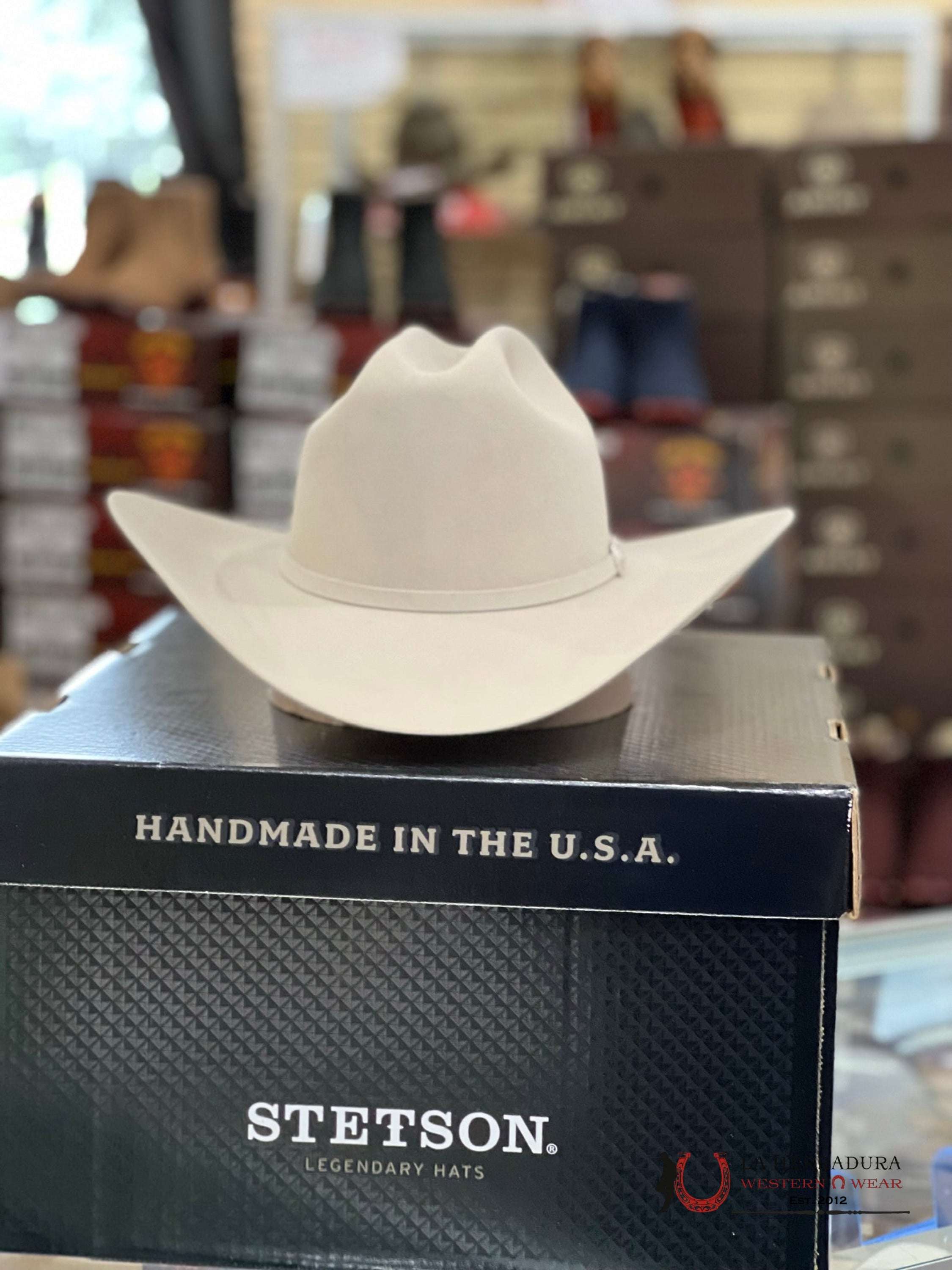 Stetson 10X Shasta Silver Belly Tejana