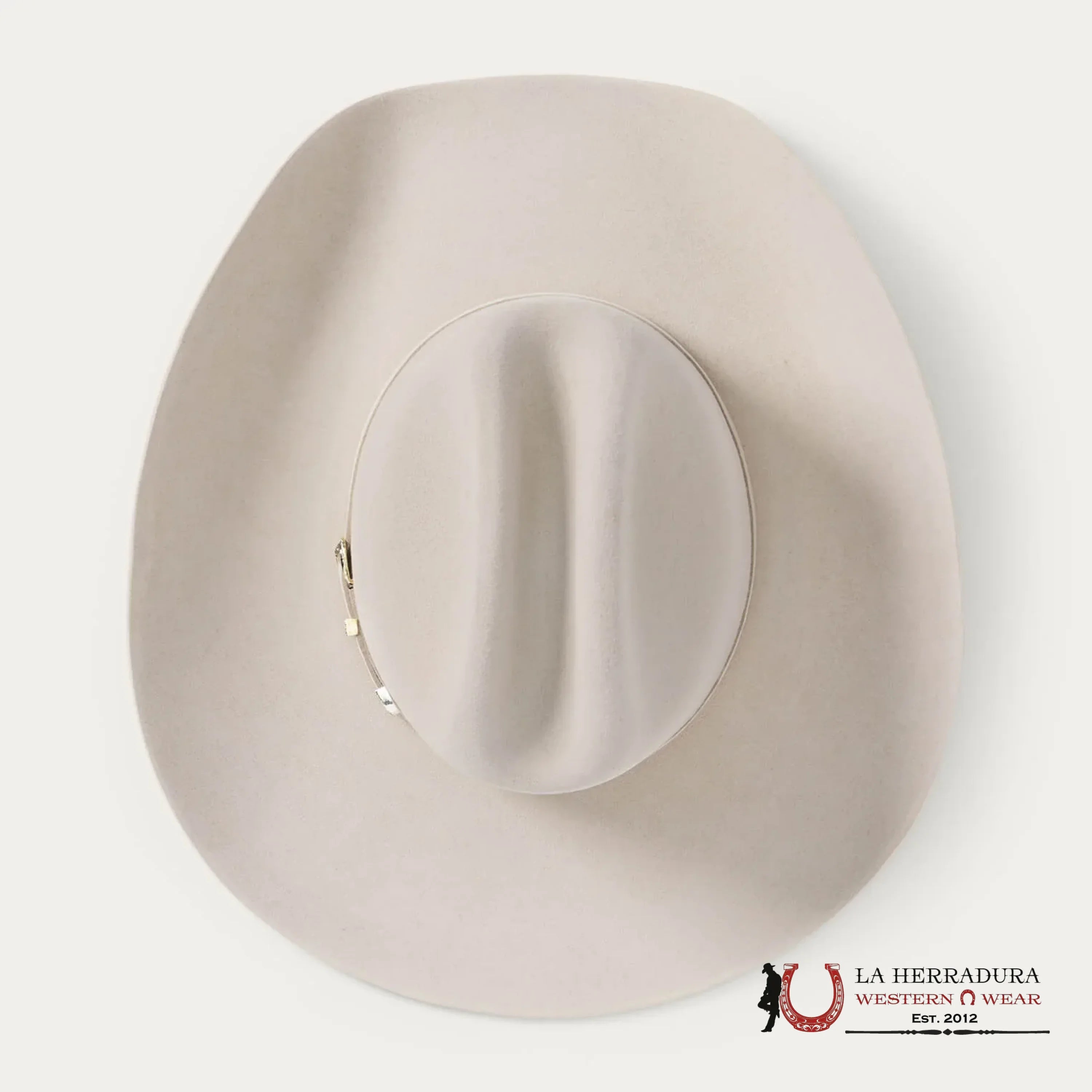 Stetson 10X Shasta Silver Belly Tejana