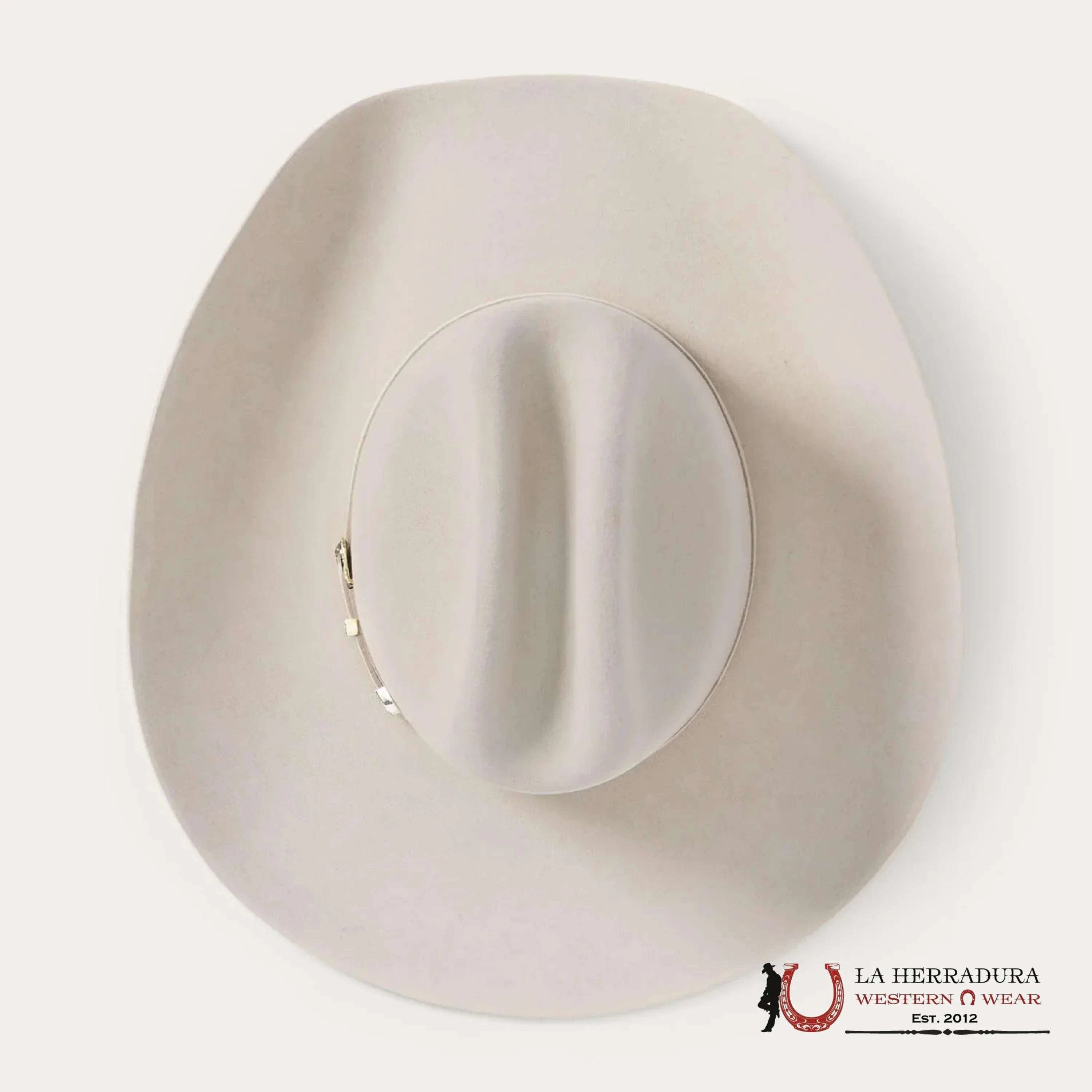 Stetson 10X Shasta Silver Belly Tejana