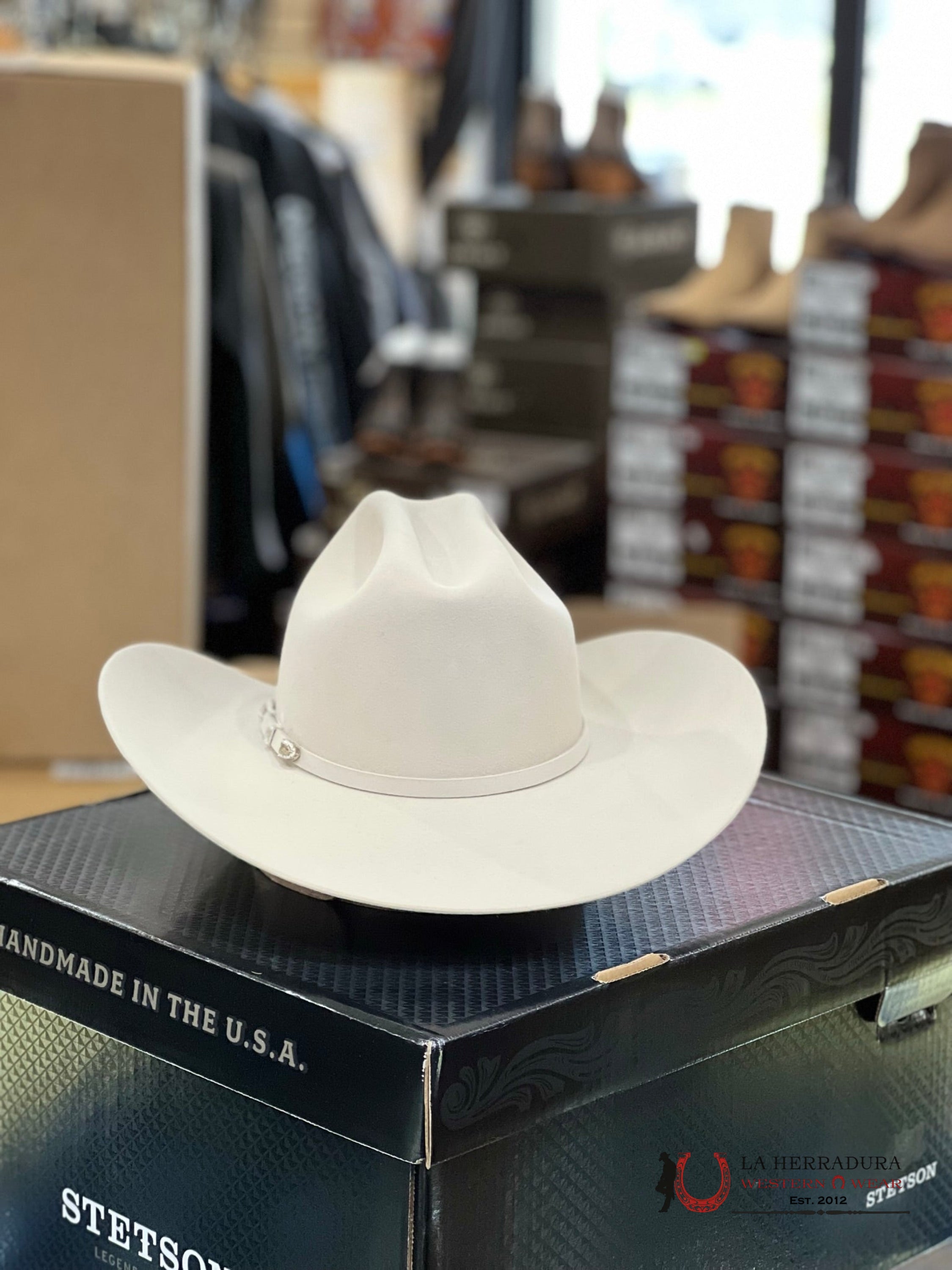 Stetson 10X Shasta Silver Belly Tejana