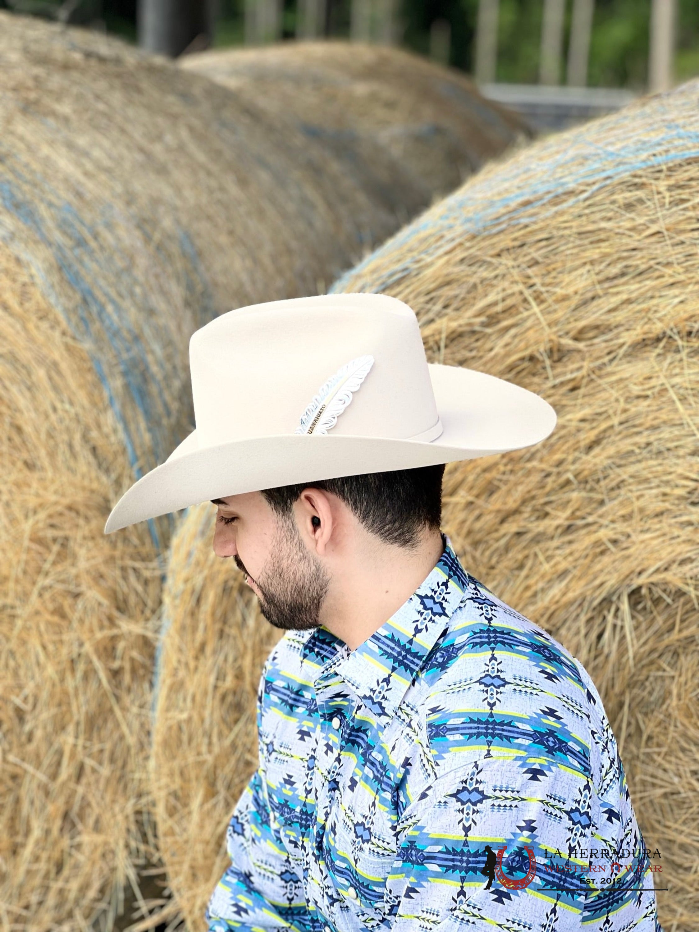 Stetson 10X Shasta Silver Belly Tejana