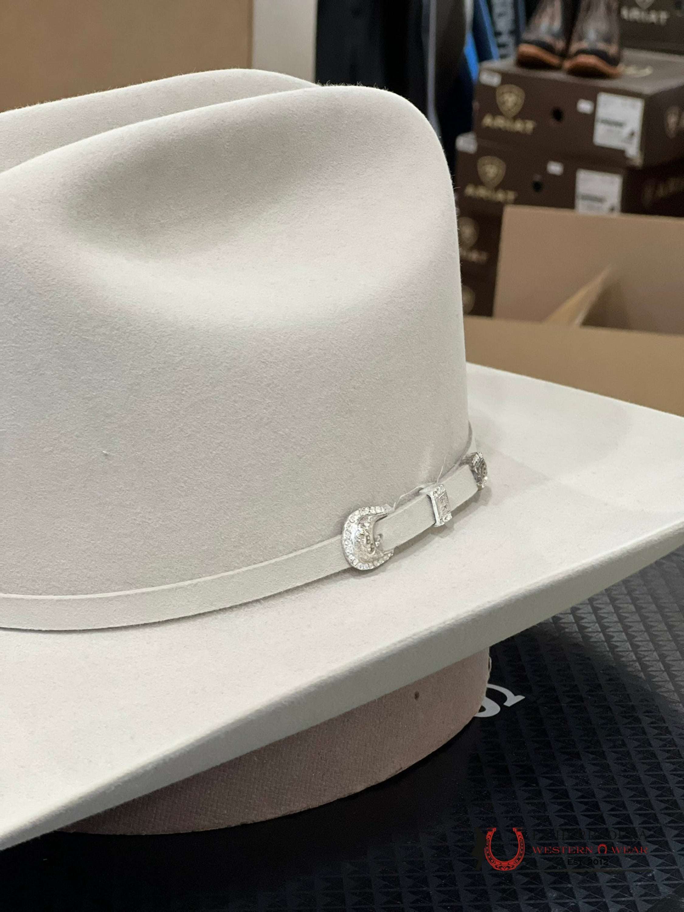 Stetson 10X Shasta Silver Belly Tejana