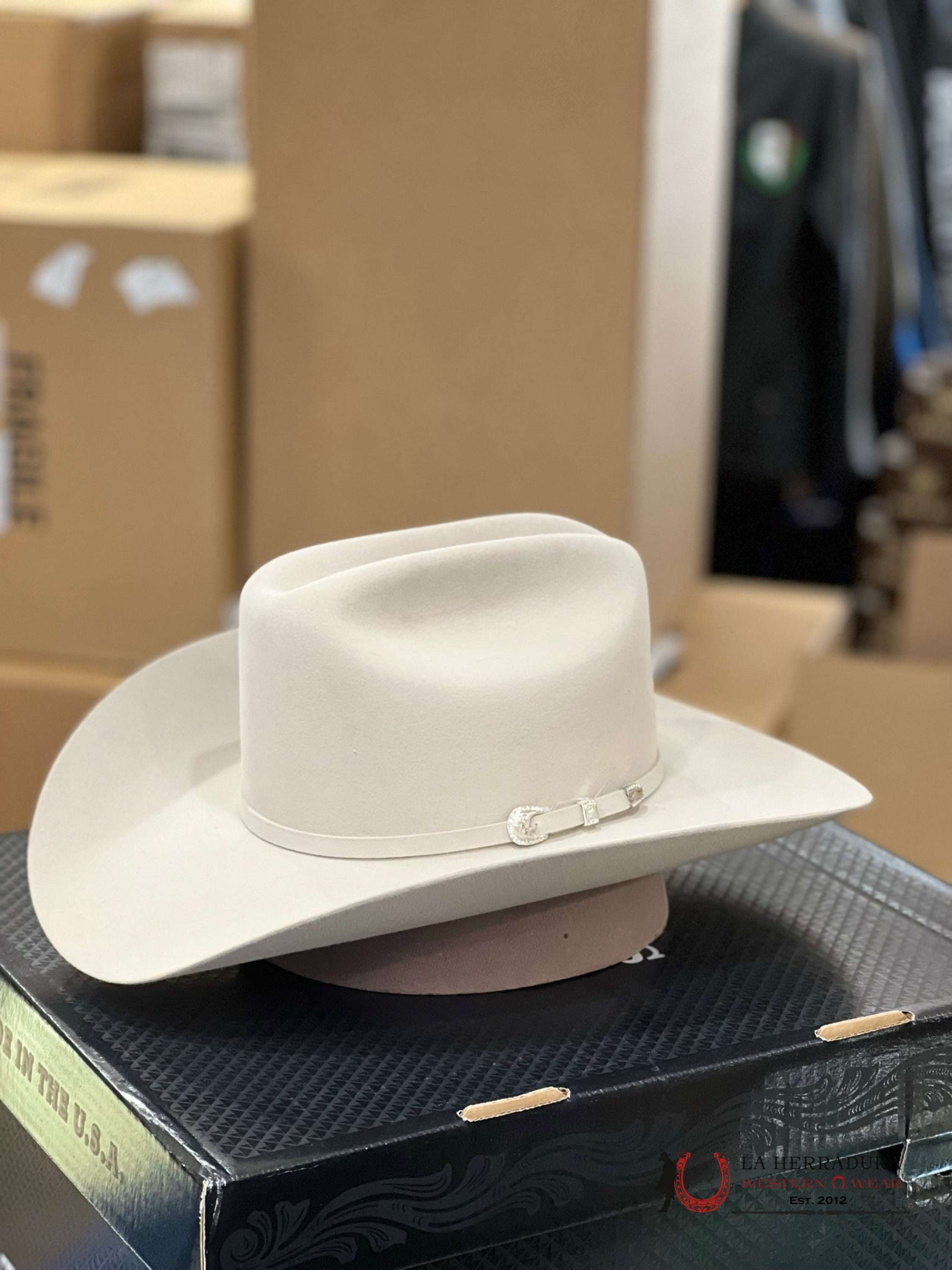 Stetson 10X Shasta Silver Belly Tejana