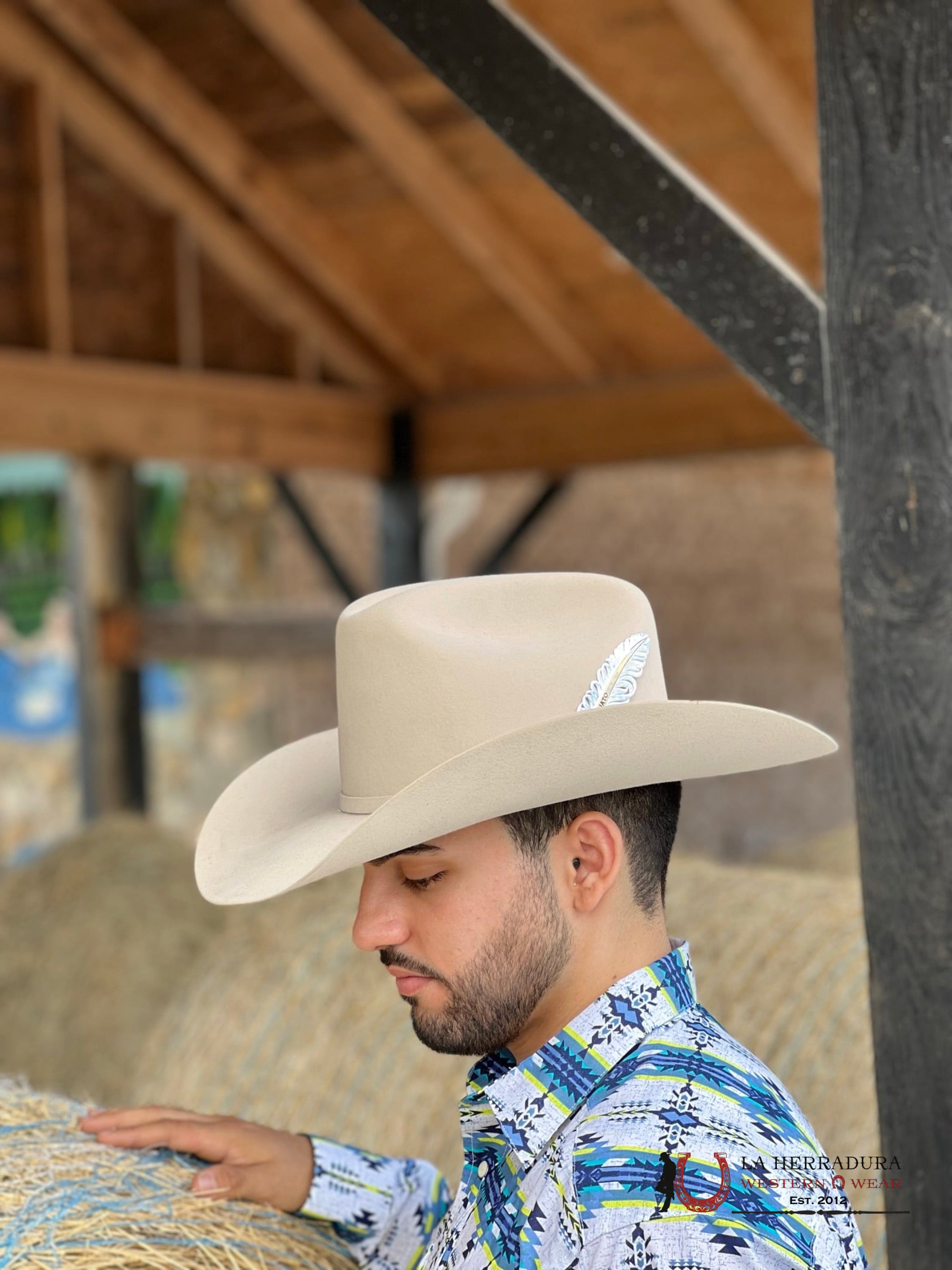 Stetson 10X Shasta Silver Belly Tejana