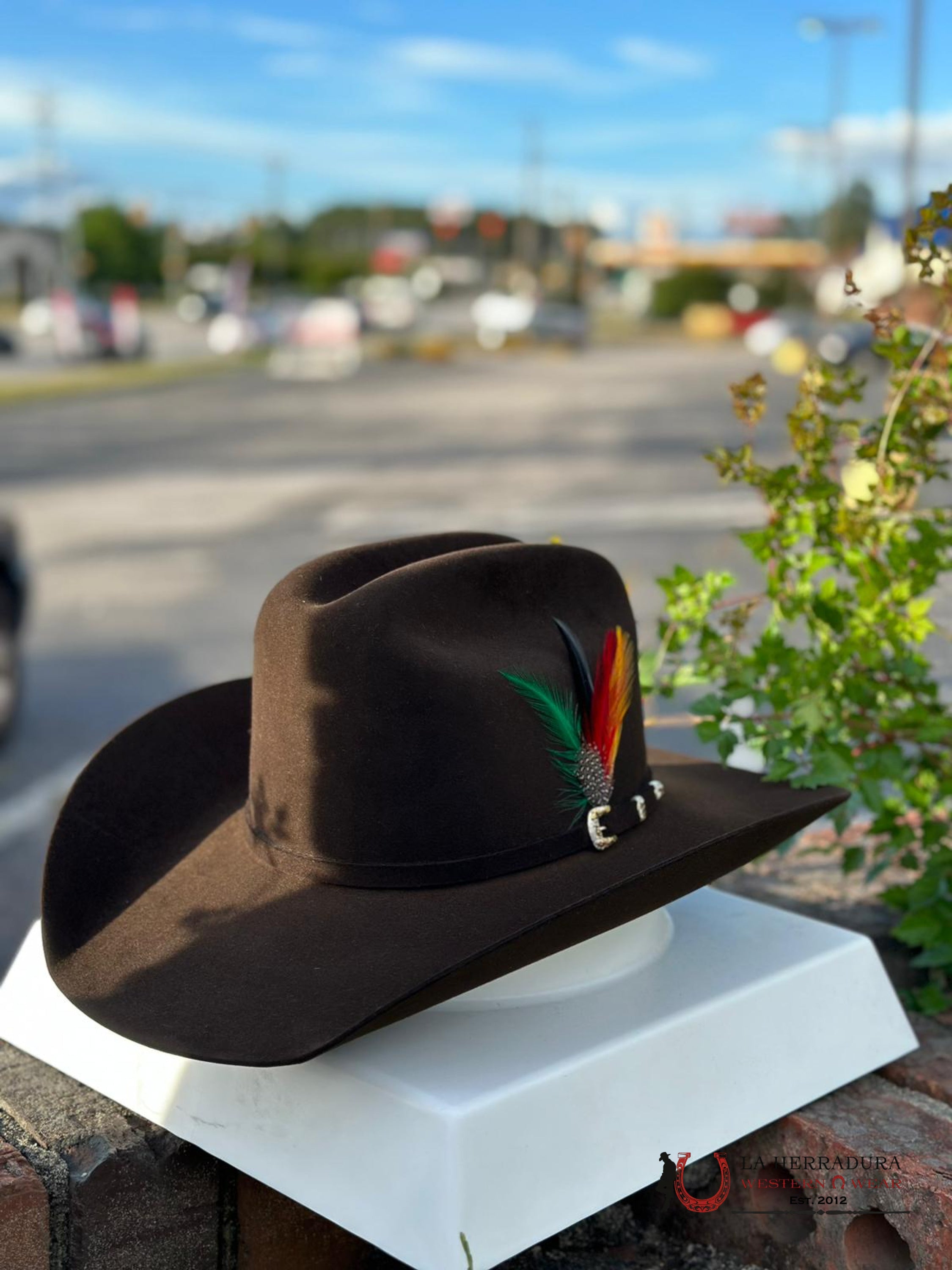 30X Stetson El Patron Momocha Chocolate Tejana