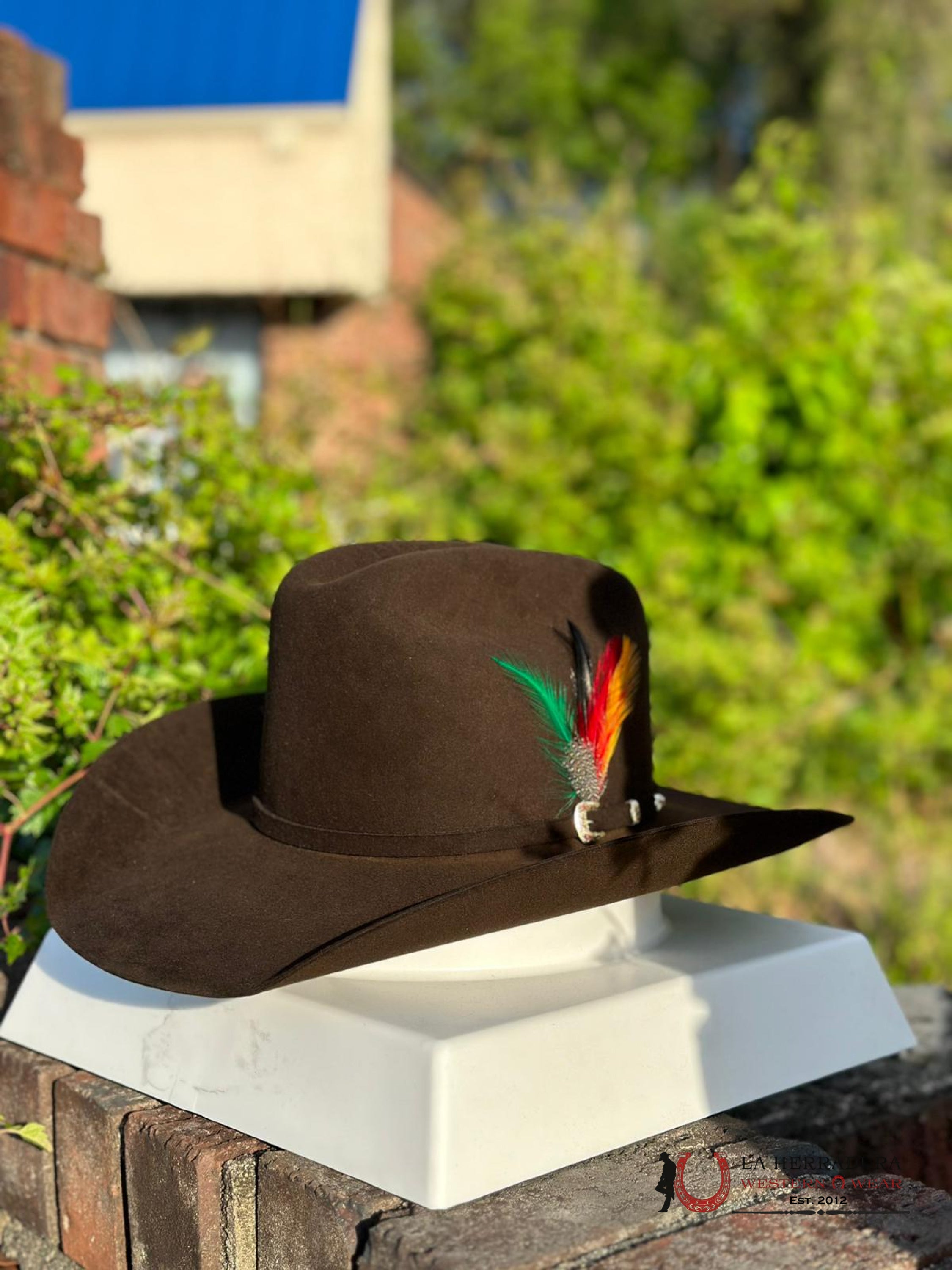 30X Stetson El Patron Momocha Chocolate Tejana