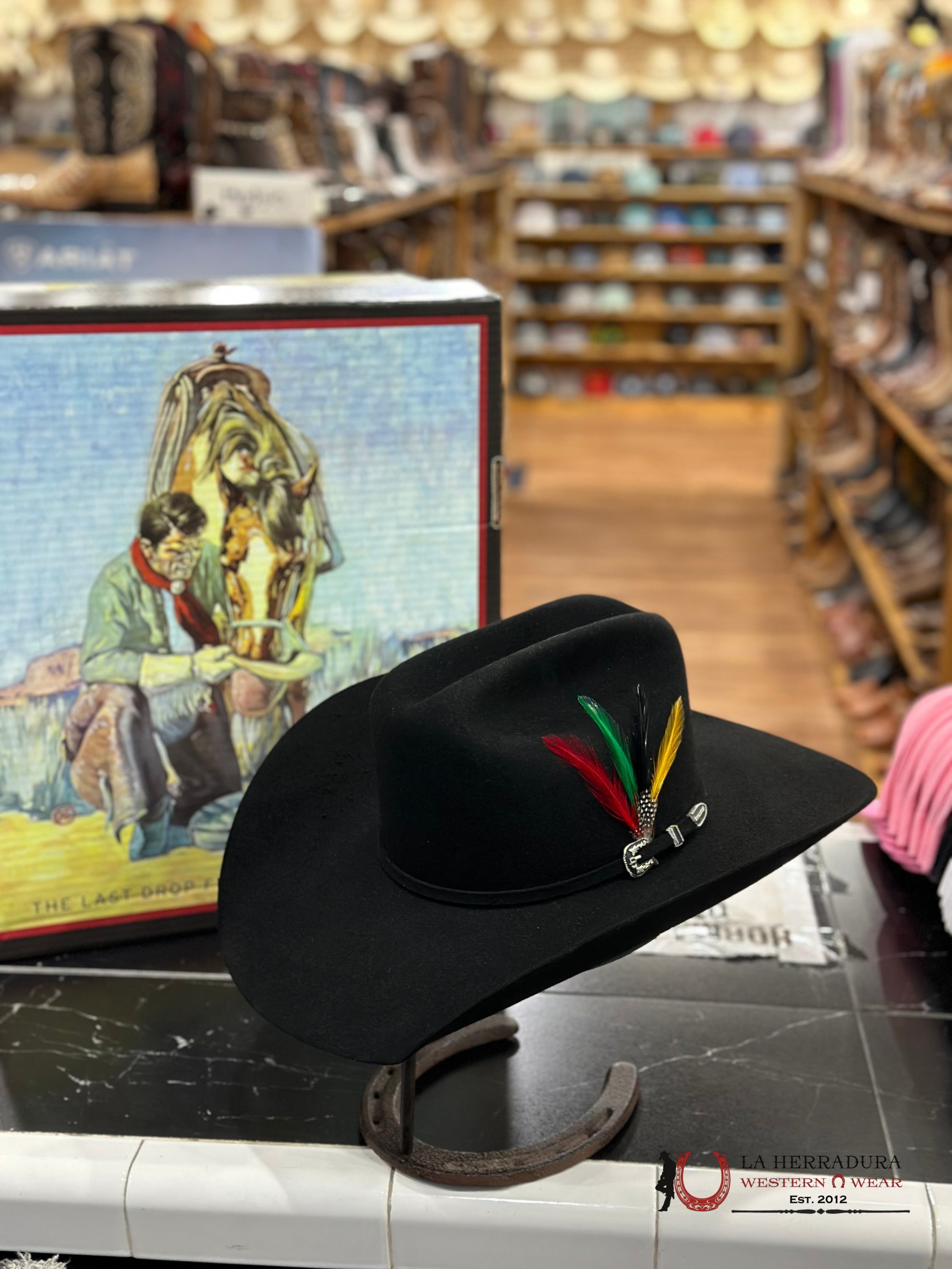 Stetson 6X Skyline Black Tradicional Tejana