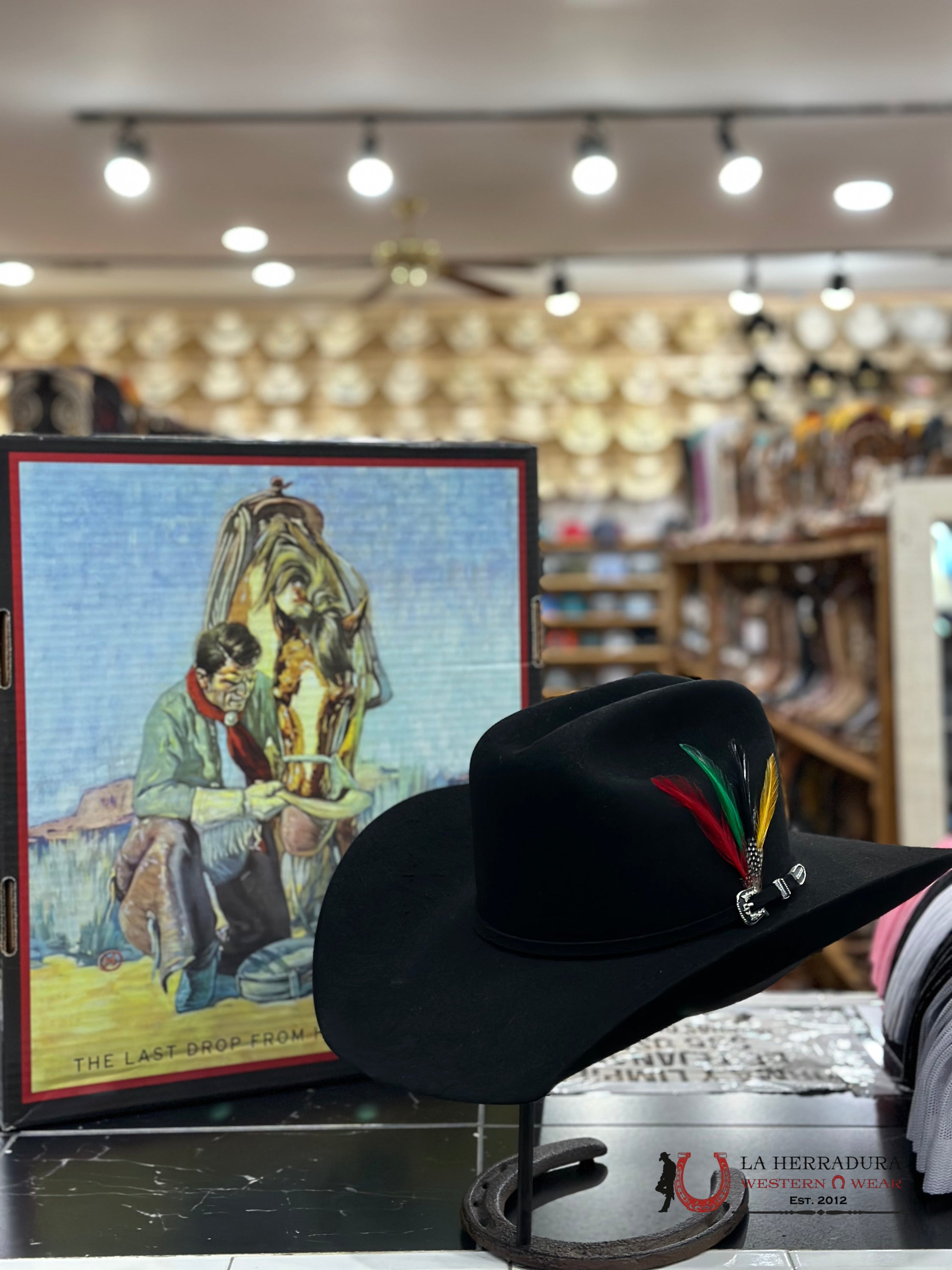 Stetson 6X Skyline Black Tradicional Tejana