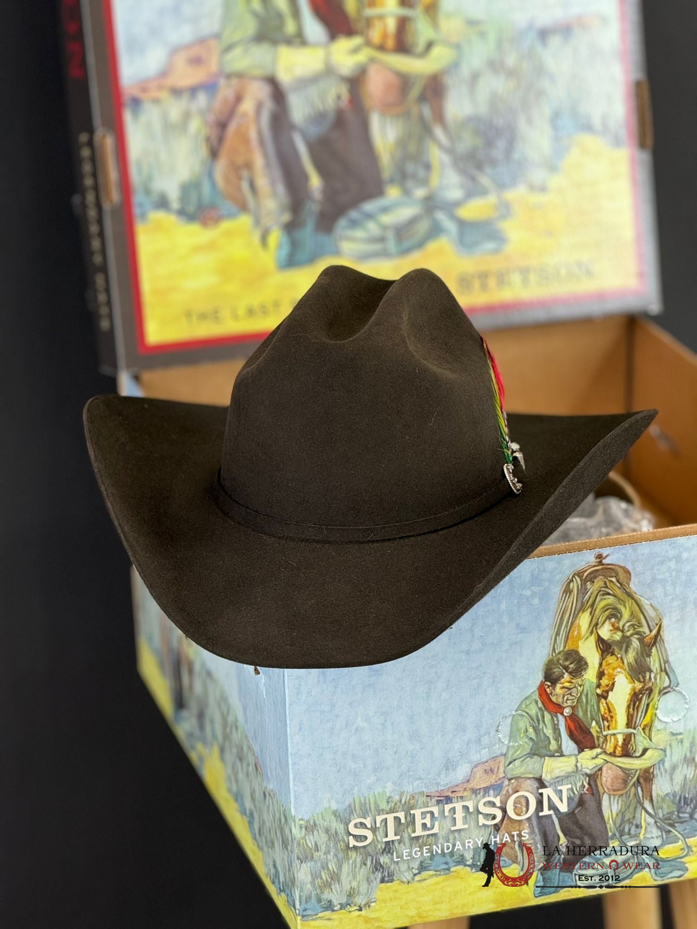 Stetson Skyline 6X Chocolate Tejana