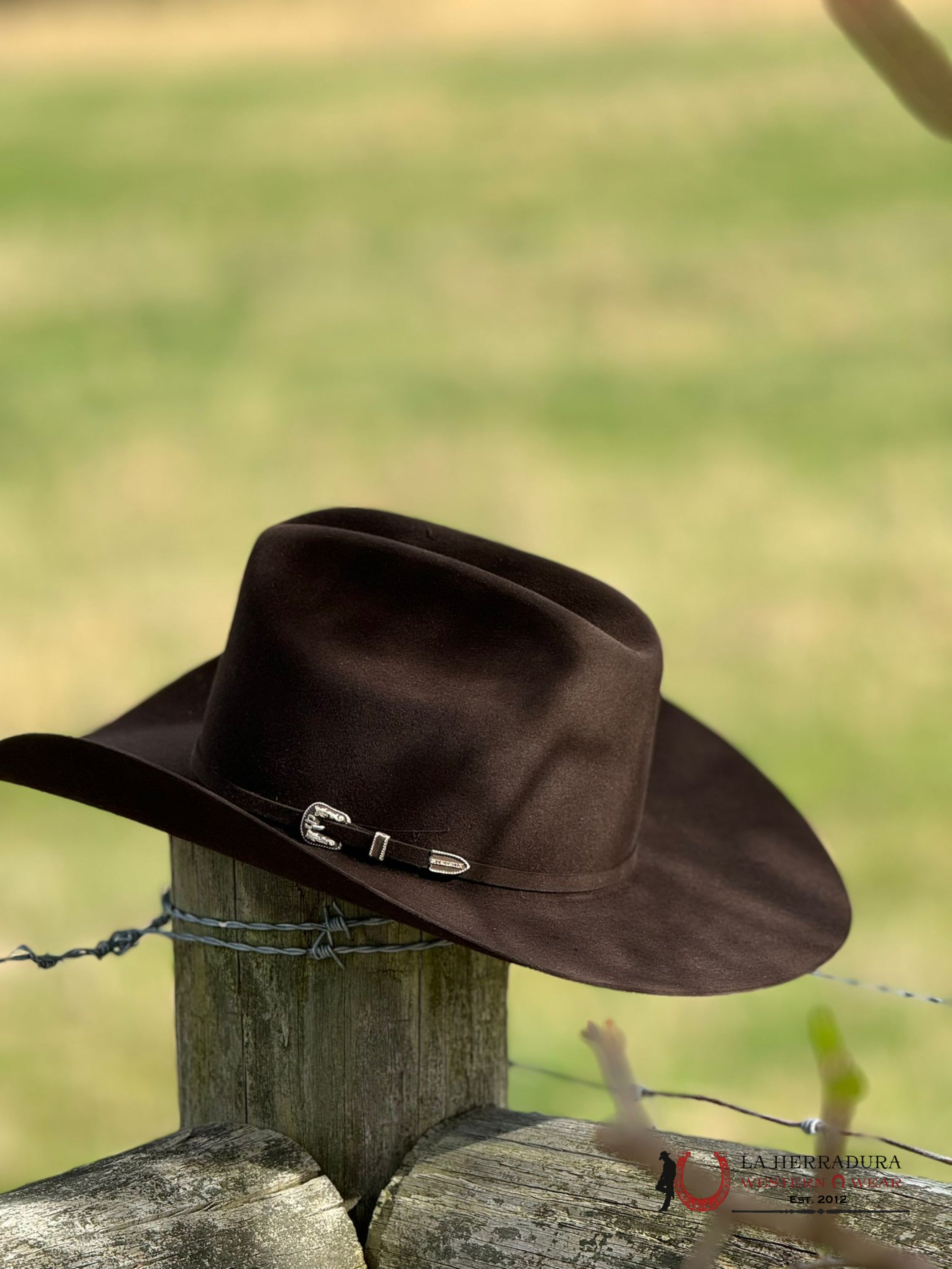 Stetson Skyline 6X Chocolate Tejana