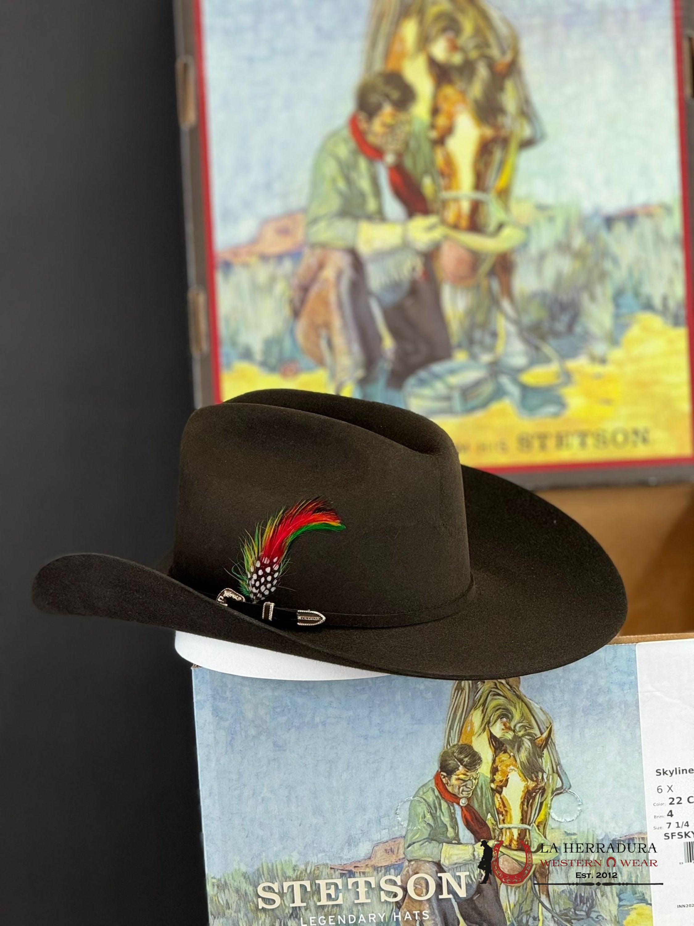 Stetson Skyline 6X Chocolate Tejana