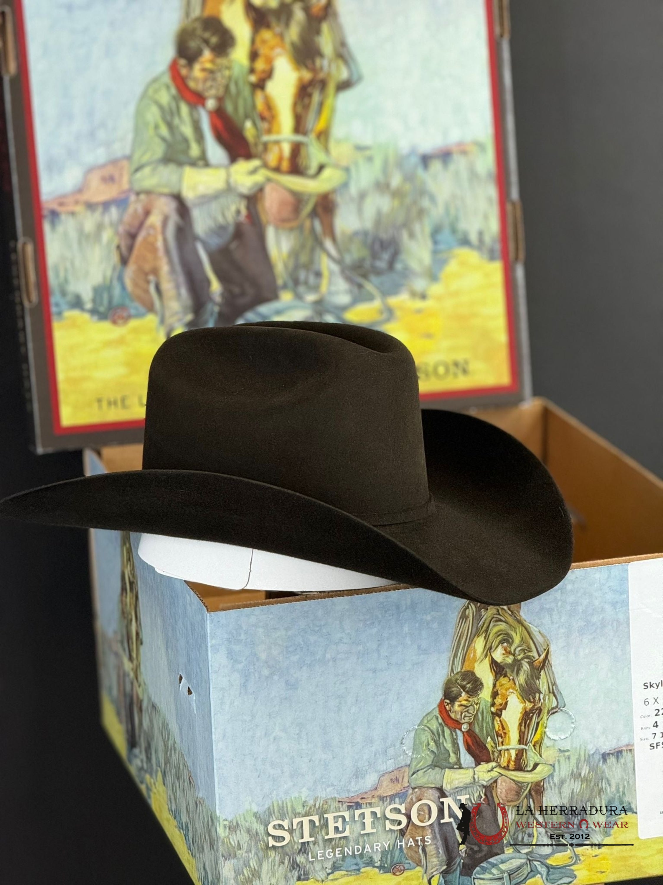 Stetson Skyline 6X Chocolate Tejana