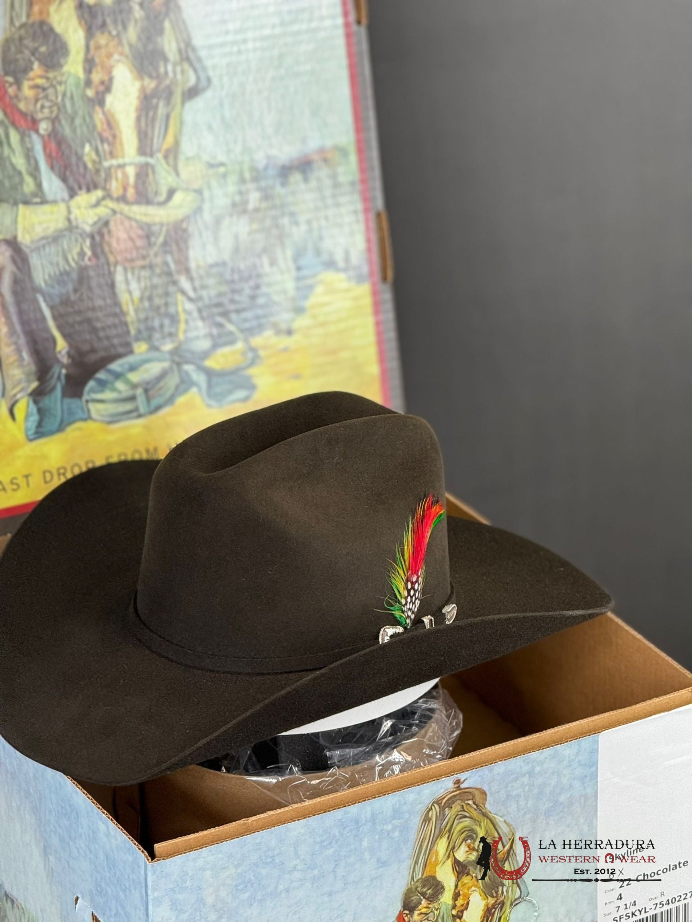 Stetson Skyline 6X Chocolate Tejana
