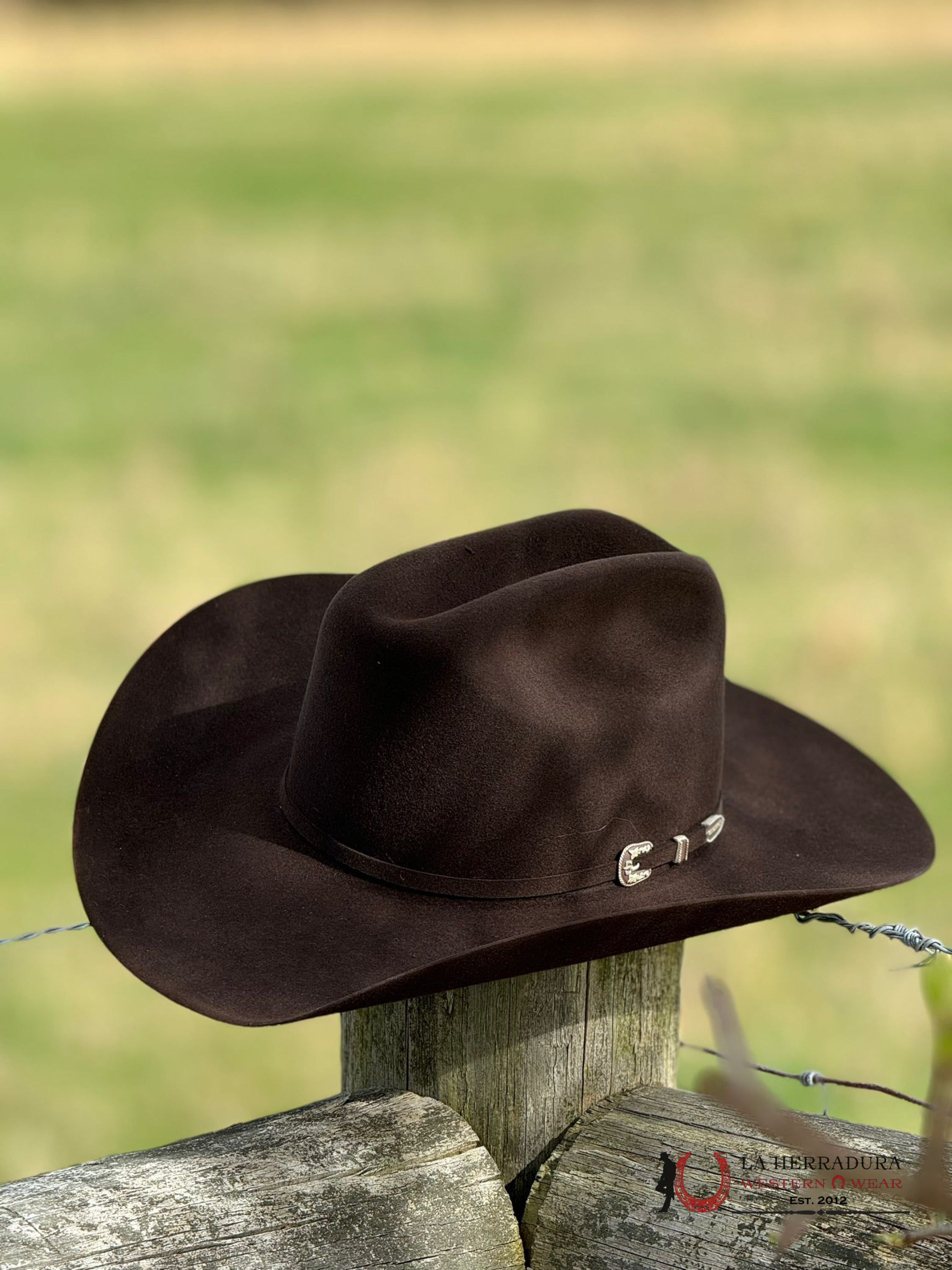 Stetson Skyline 6X Chocolate Tejana