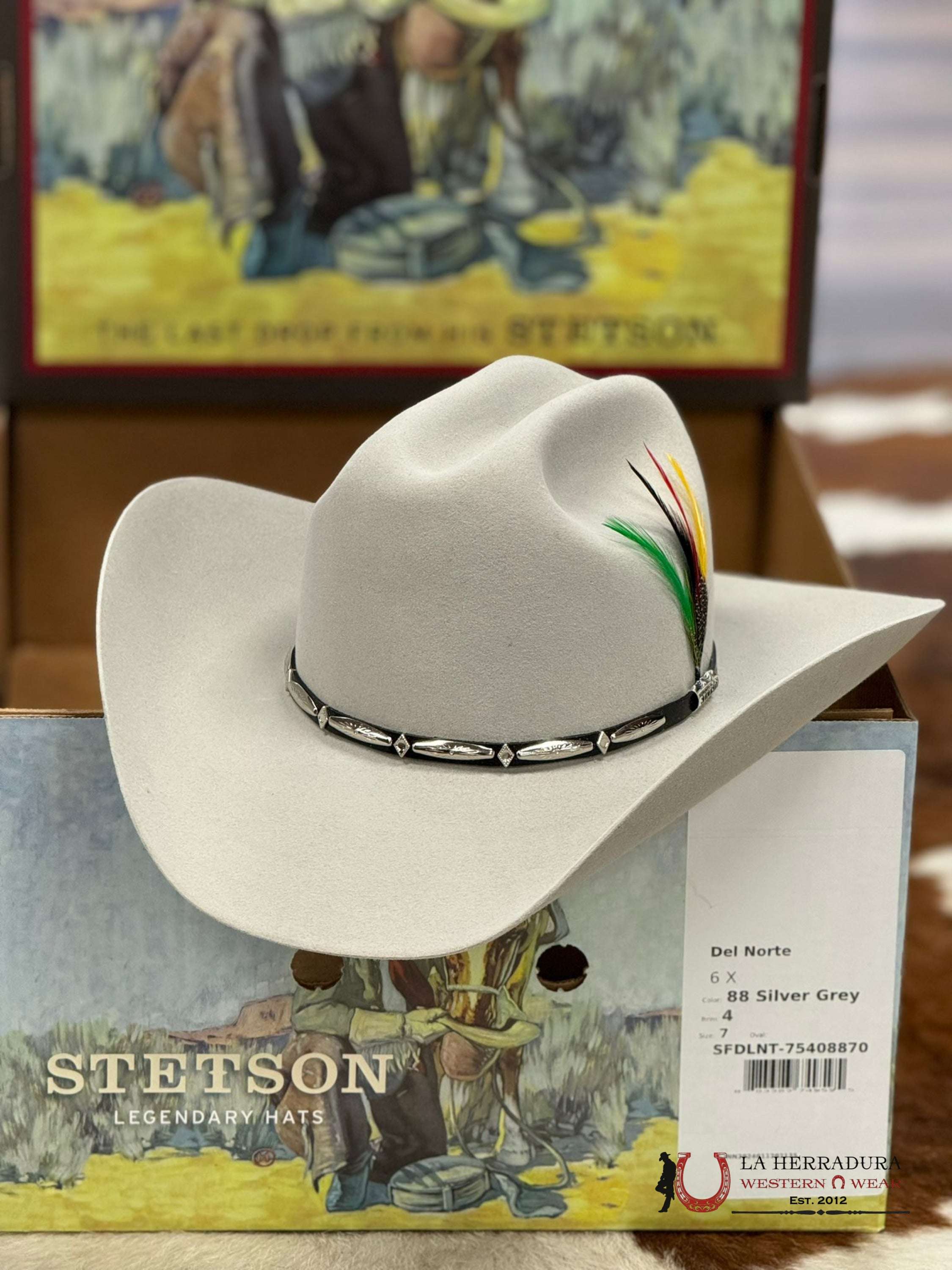 STETSON 6X DEL NORTE GRIS PLATEADO – Laherradurawwnc.com