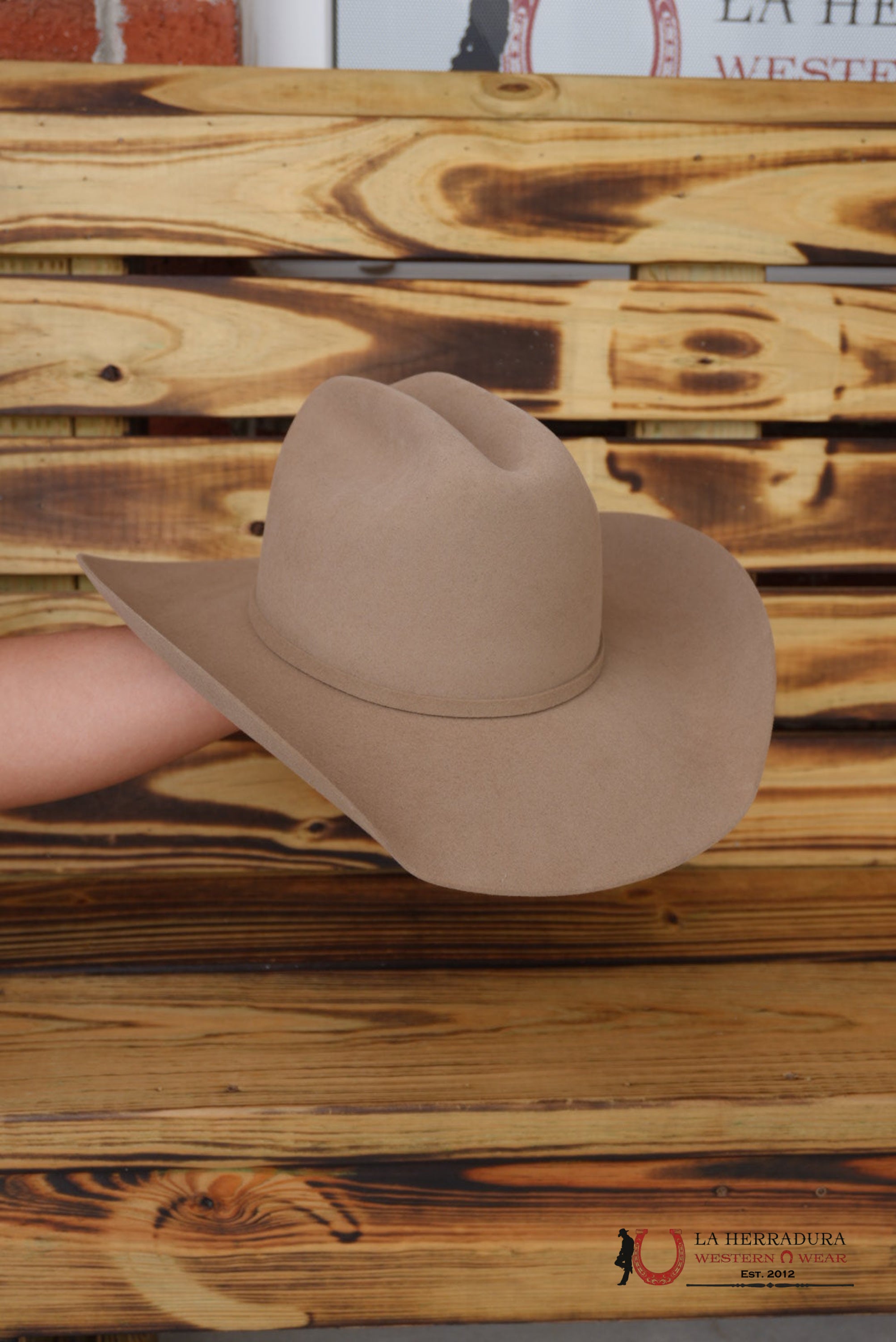 Stetson Skyline 6x Fawn TEJANA