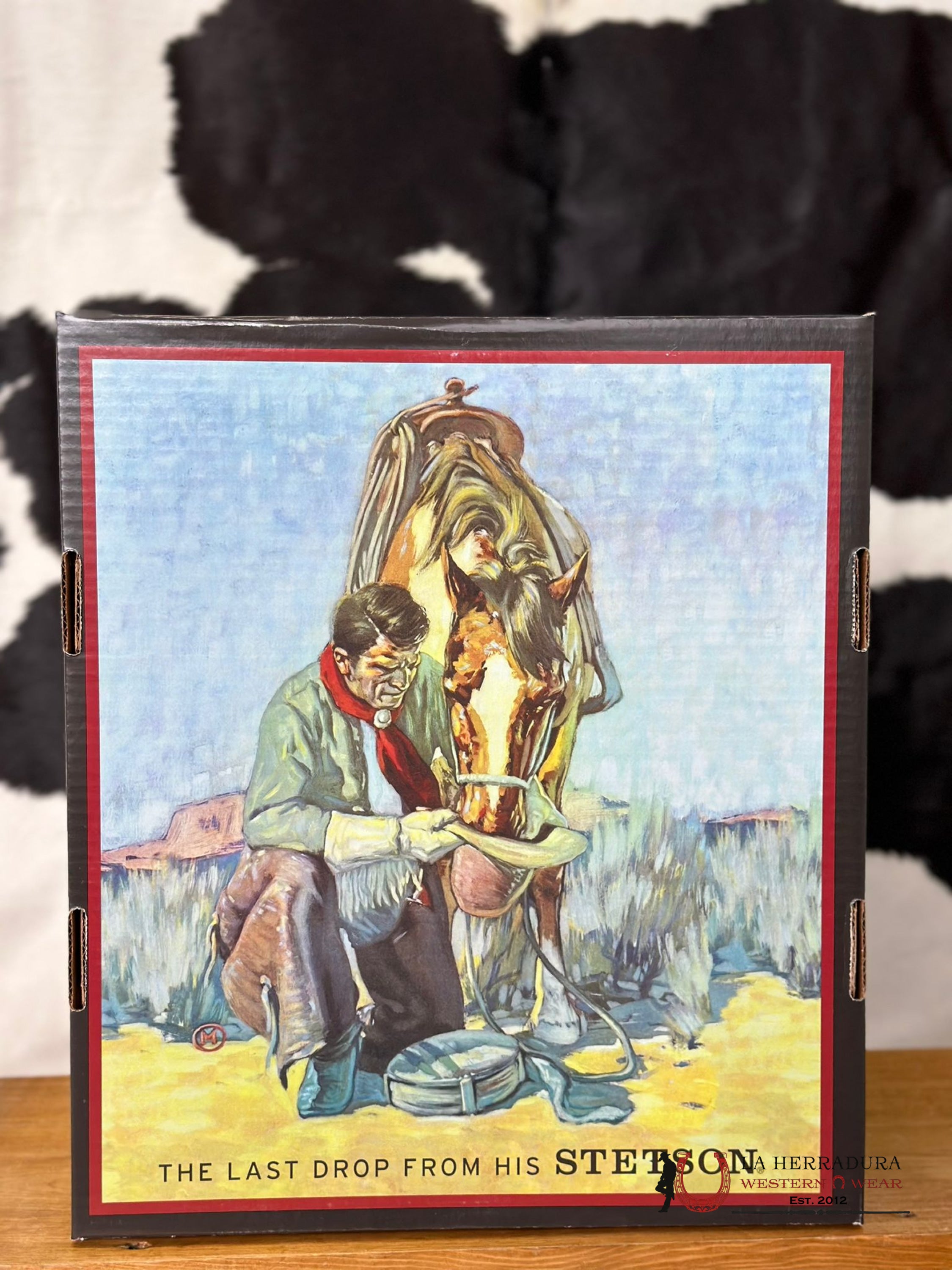 Stetson Skyline 6X Granite Grey Tejana