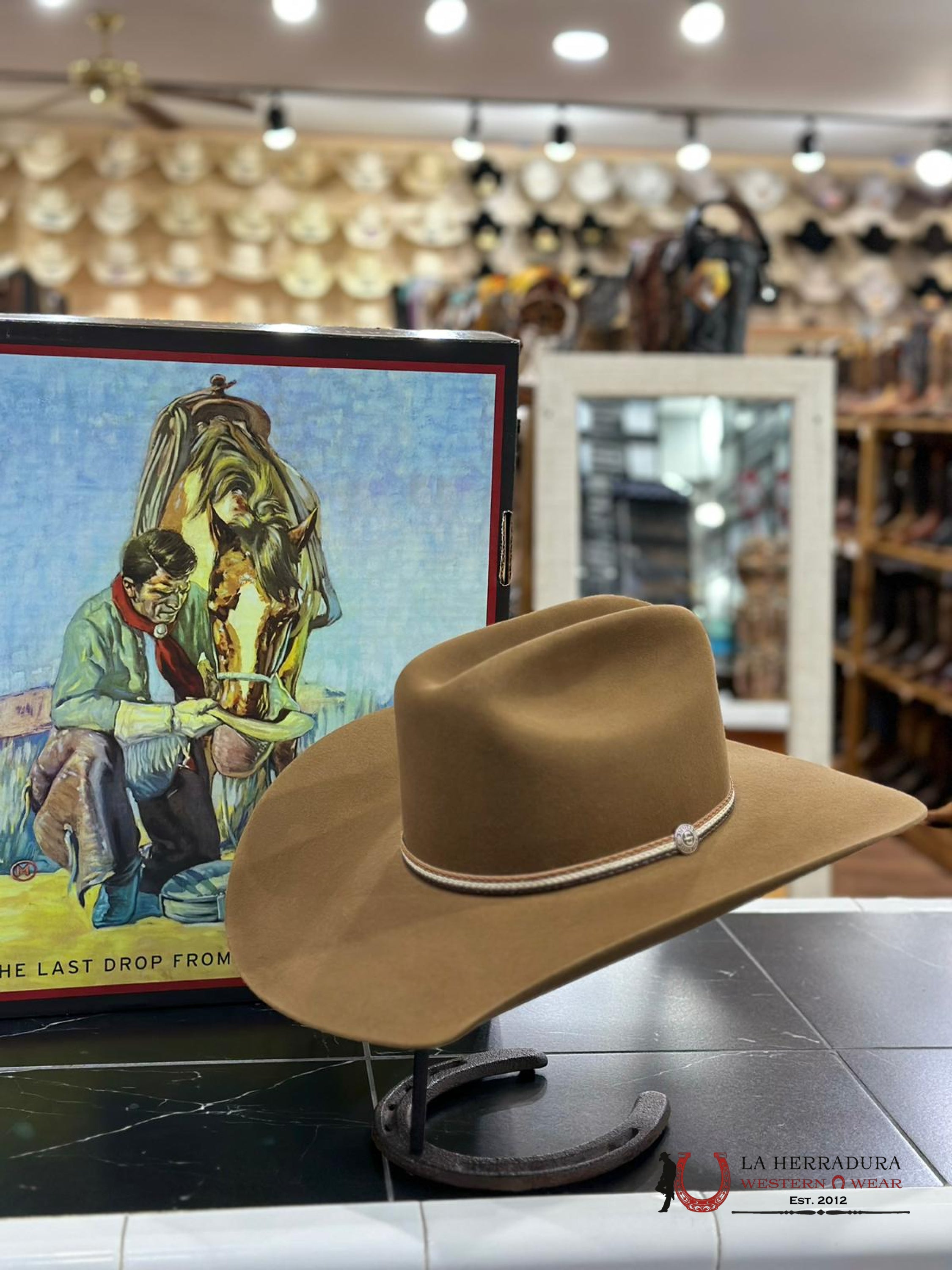 Stetson Hobbs 6X Chestnut Tejana