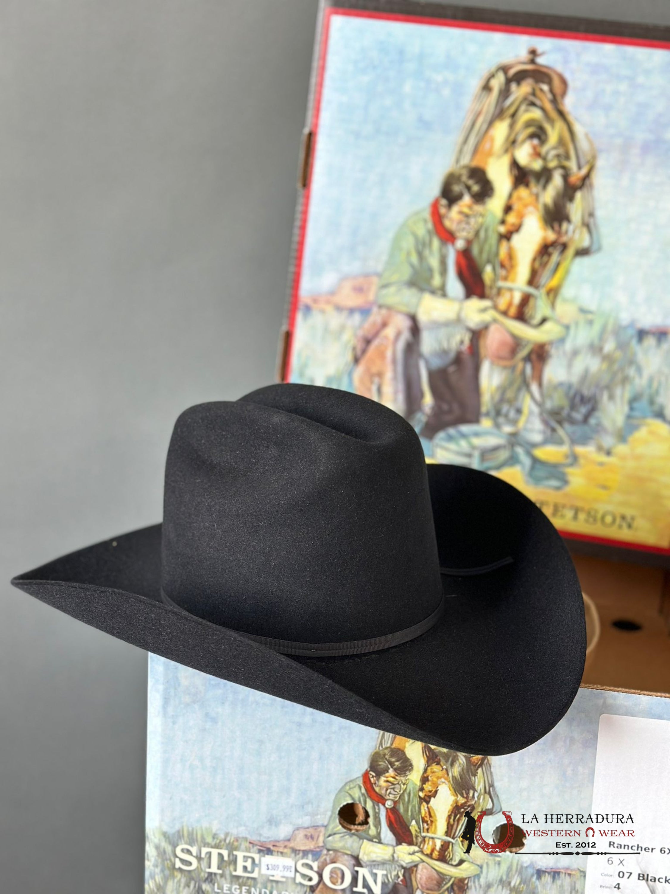 Stetson Rancher 6X Negro Tejana