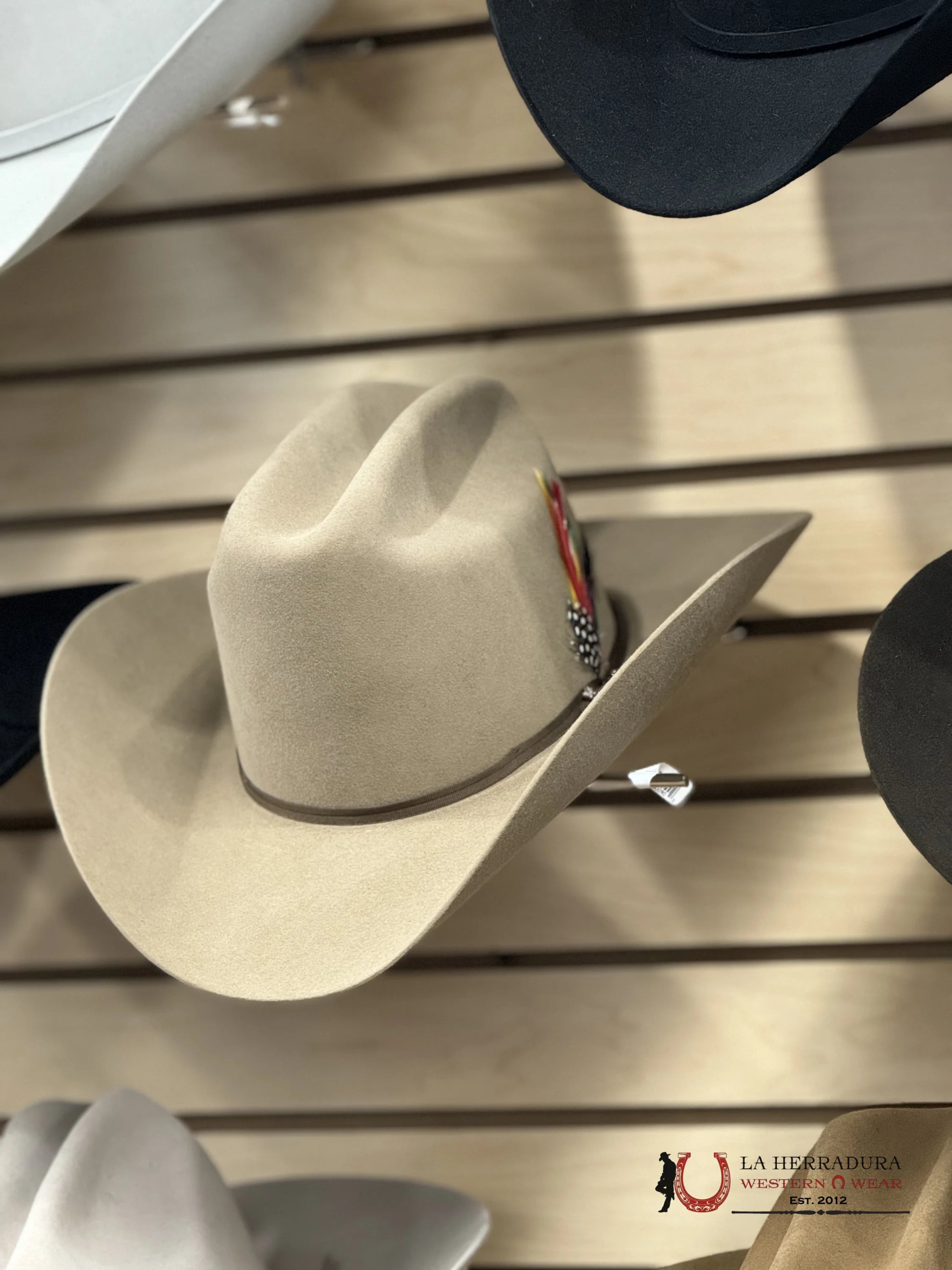 Stetson Rancher 6X Sahara Tejana
