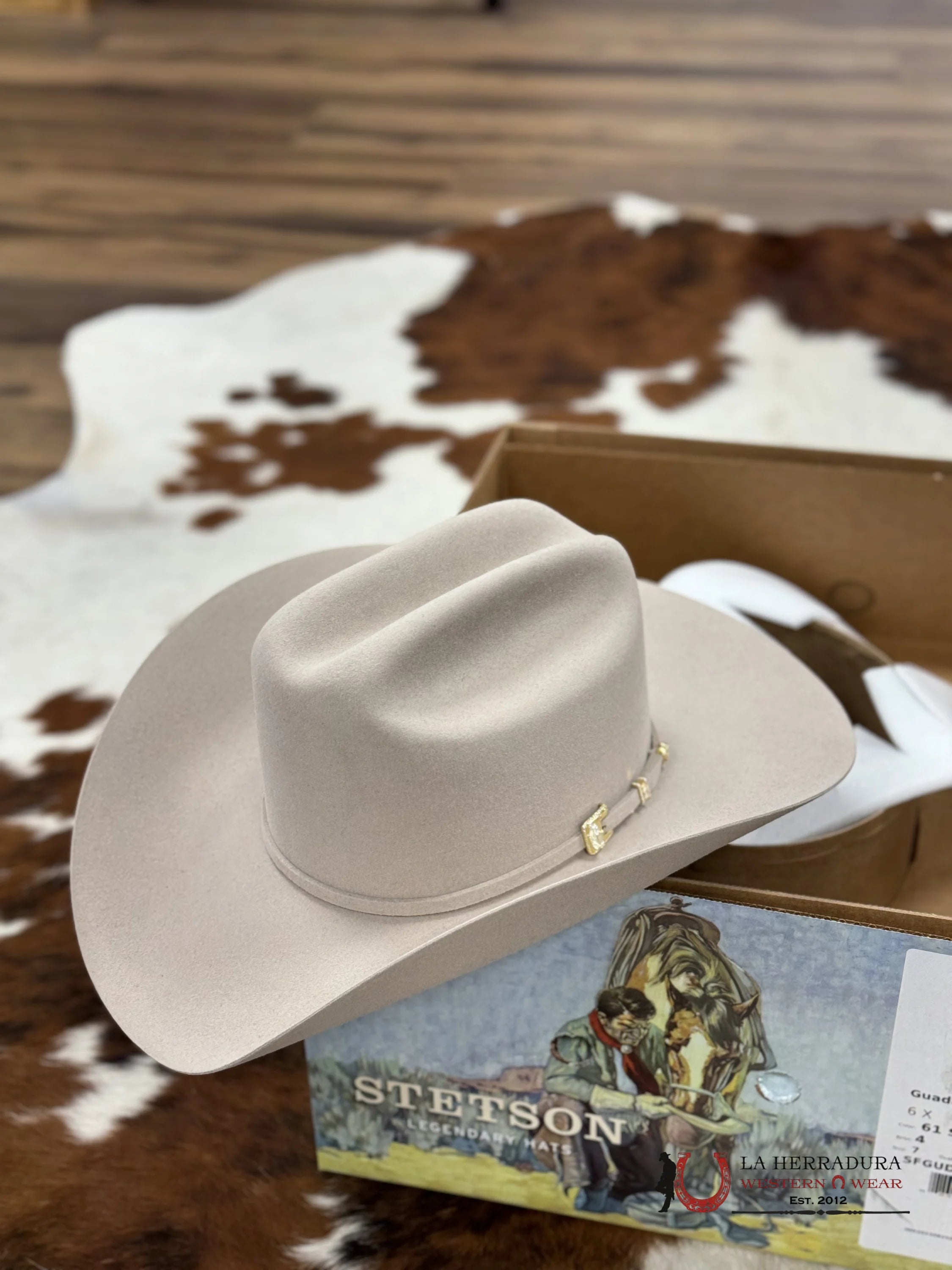 Stetson Guadalupana 6X Silver Belly Tejana