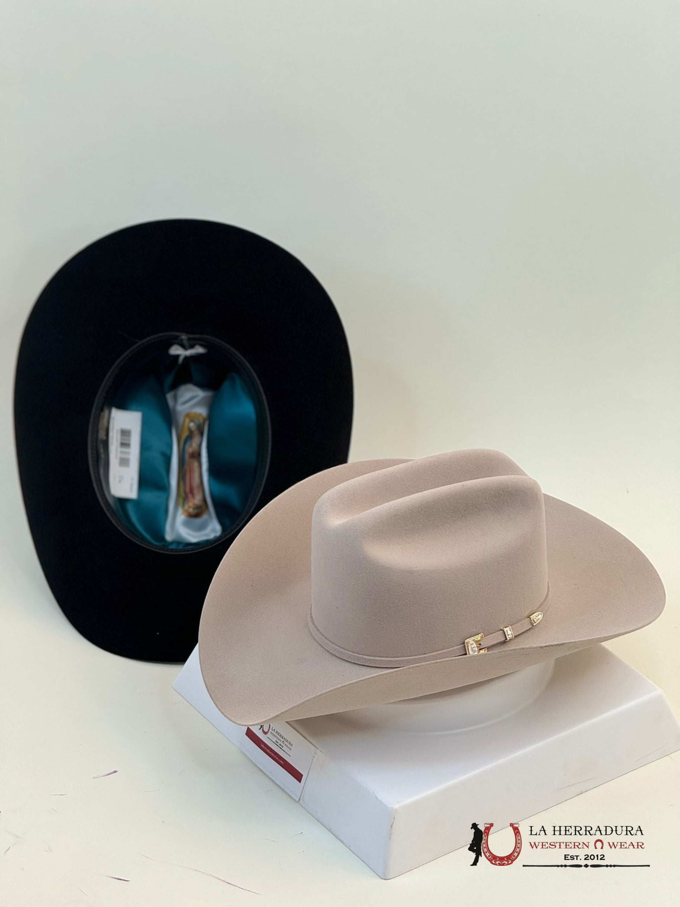 Stetson Guadalupana 6X Silver Belly Tejana
