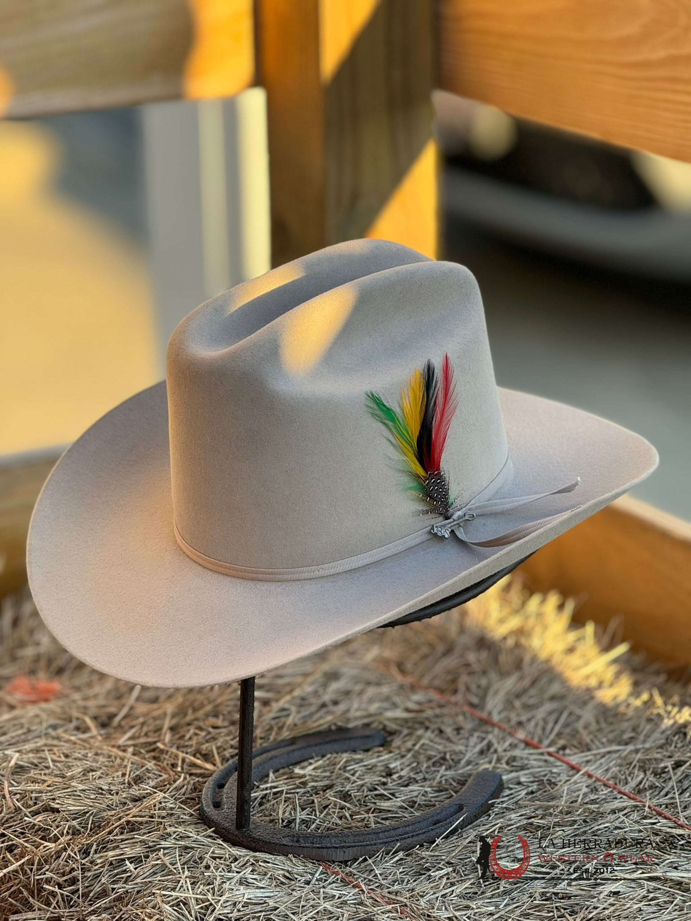 Stetson Rancher 6X Silver Belly Tejana
