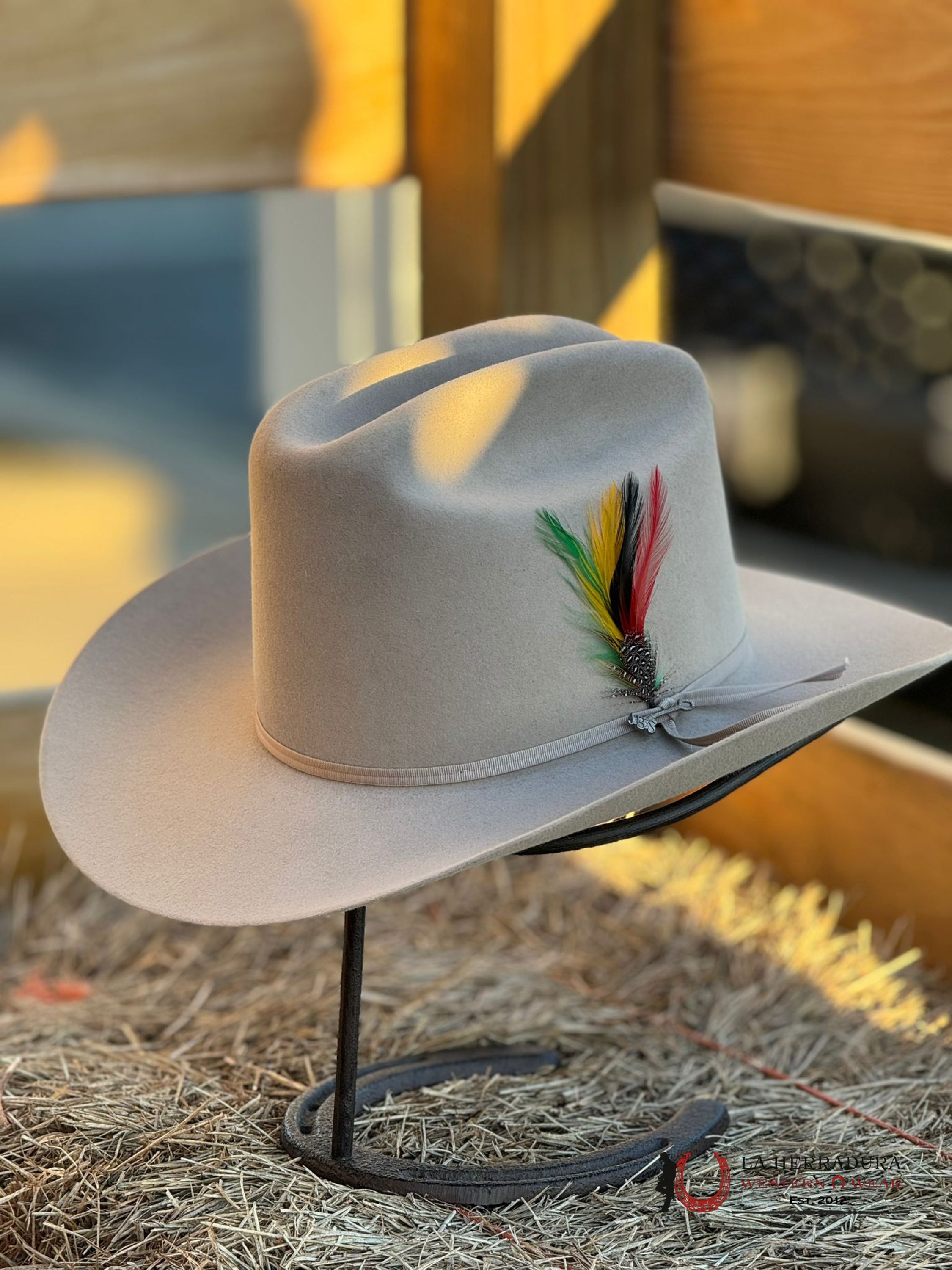 Stetson Rancher 6X Silver Belly Tejana