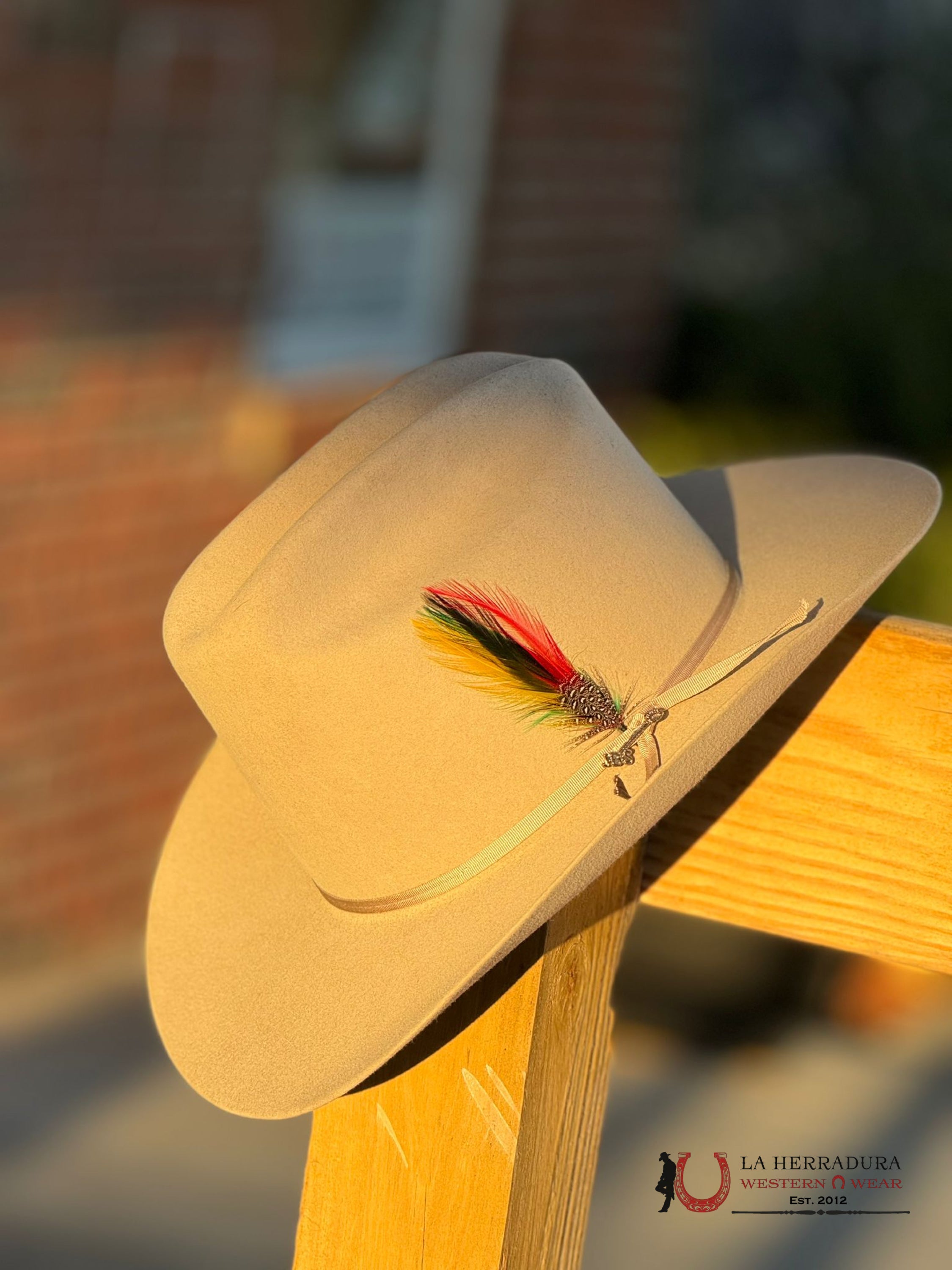 Stetson Rancher 6X Silver Belly Tejana