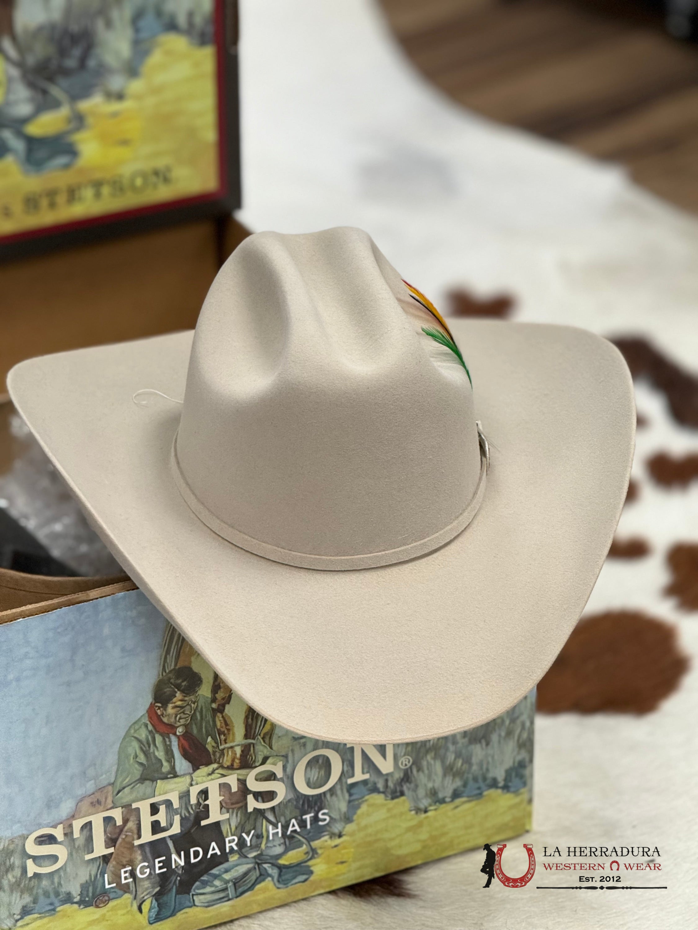 Stetson 6X Silver Belly Skyline Tradicional Tejana