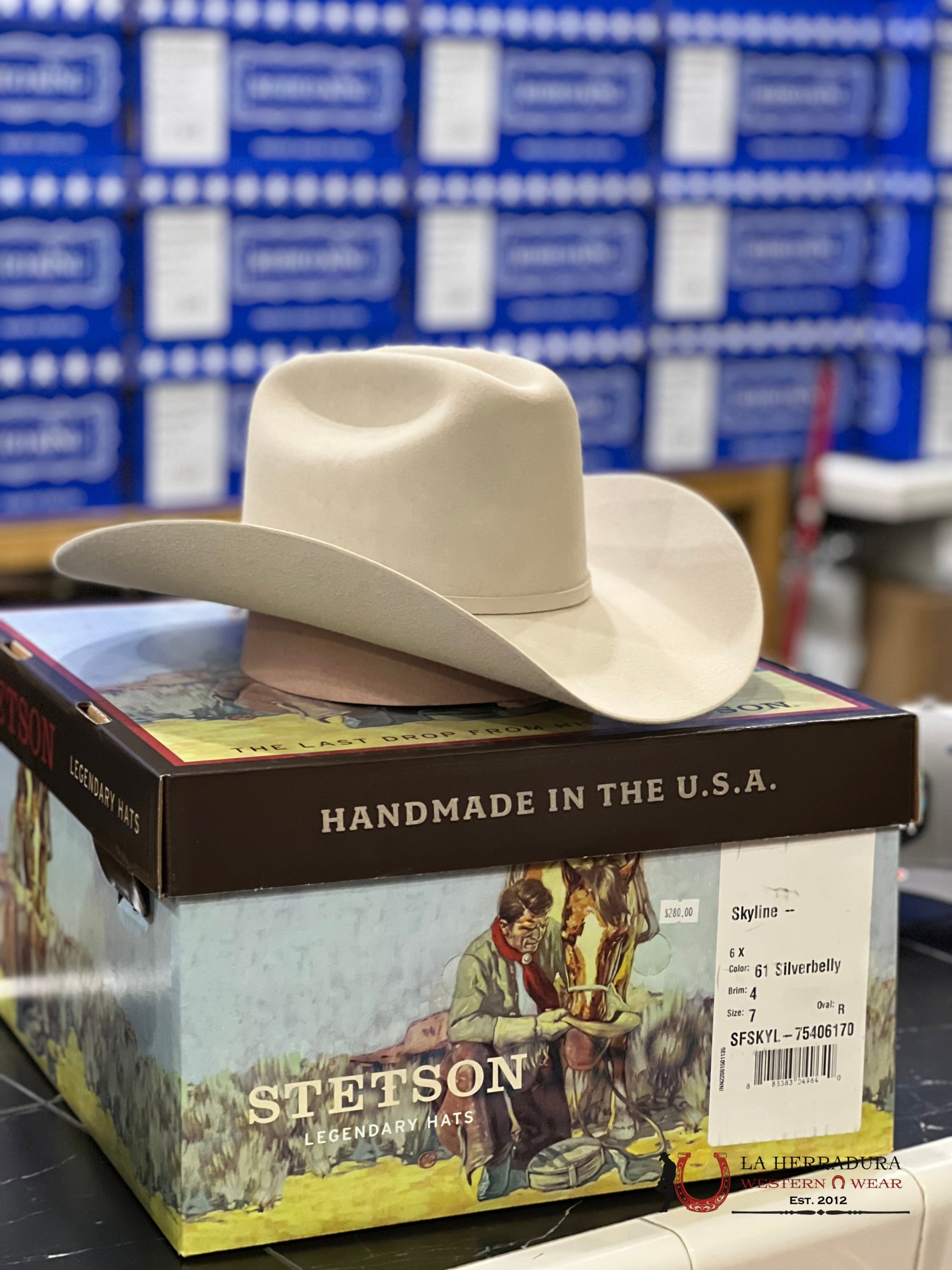 Stetson 6X Silver Belly Skyline Tradicional Tejana