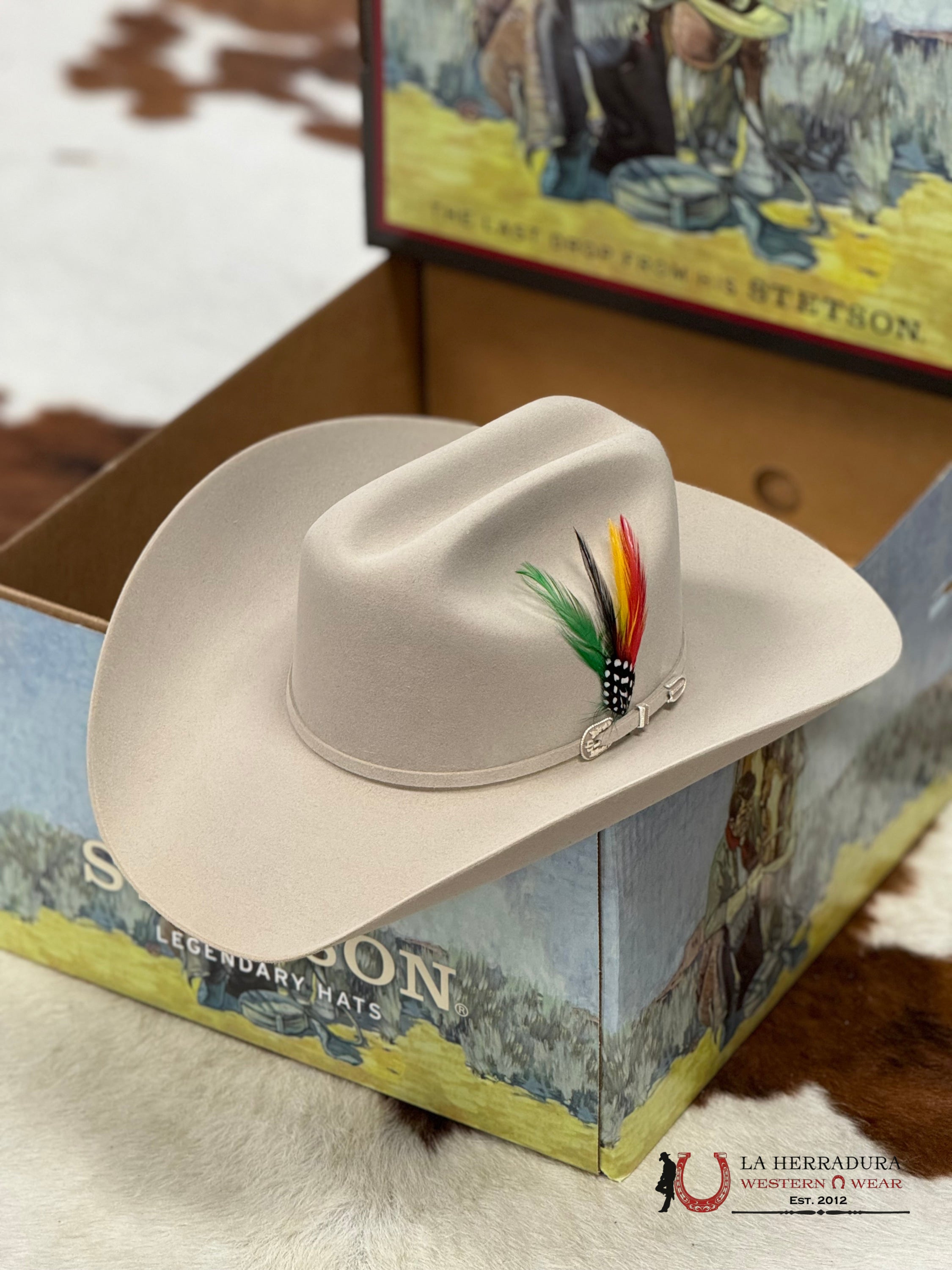 Stetson 6X Silver Belly Skyline Tradicional Tejana