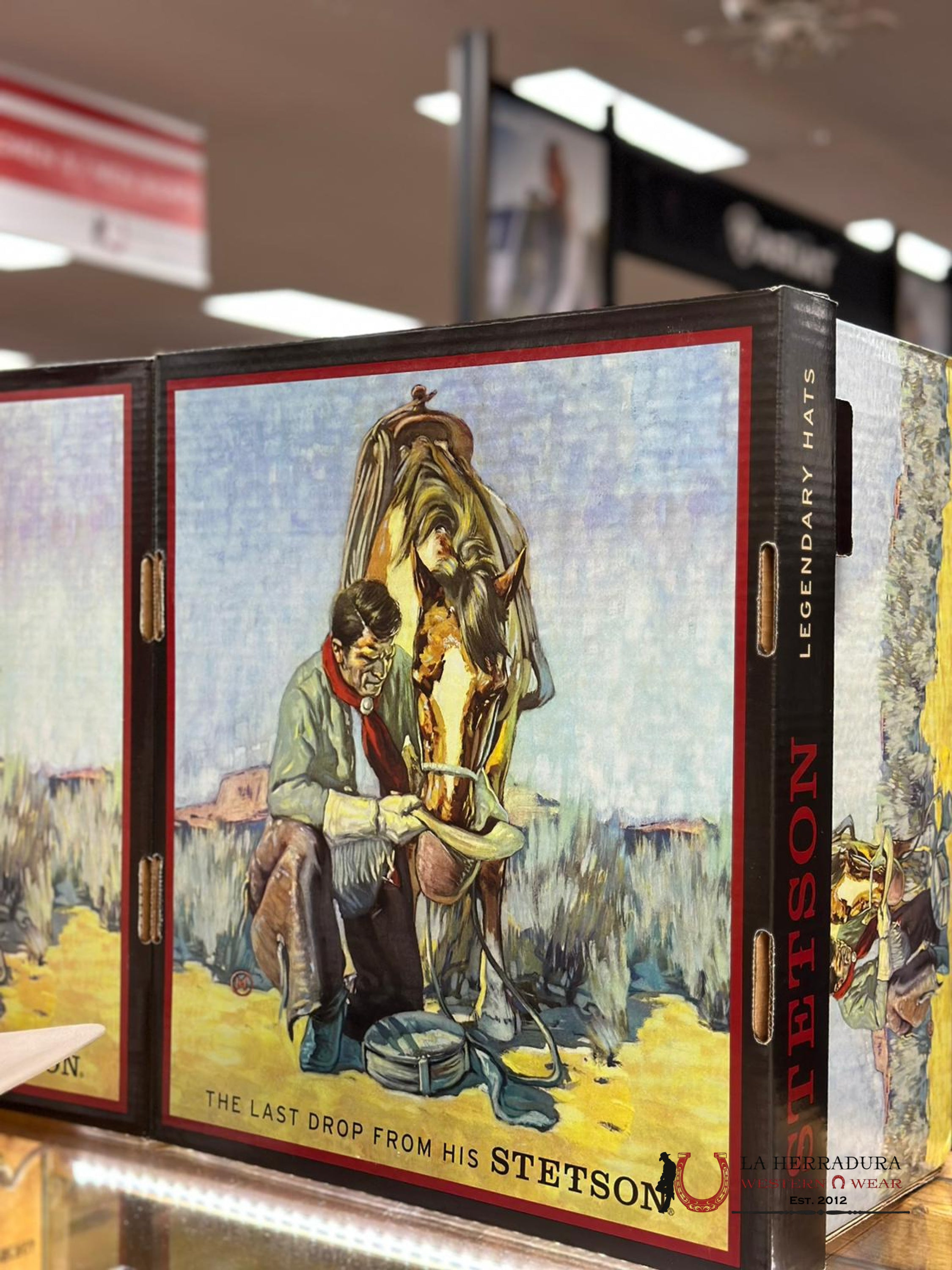 Stetson 6X Silver Belly Skyline Tradicional Tejana