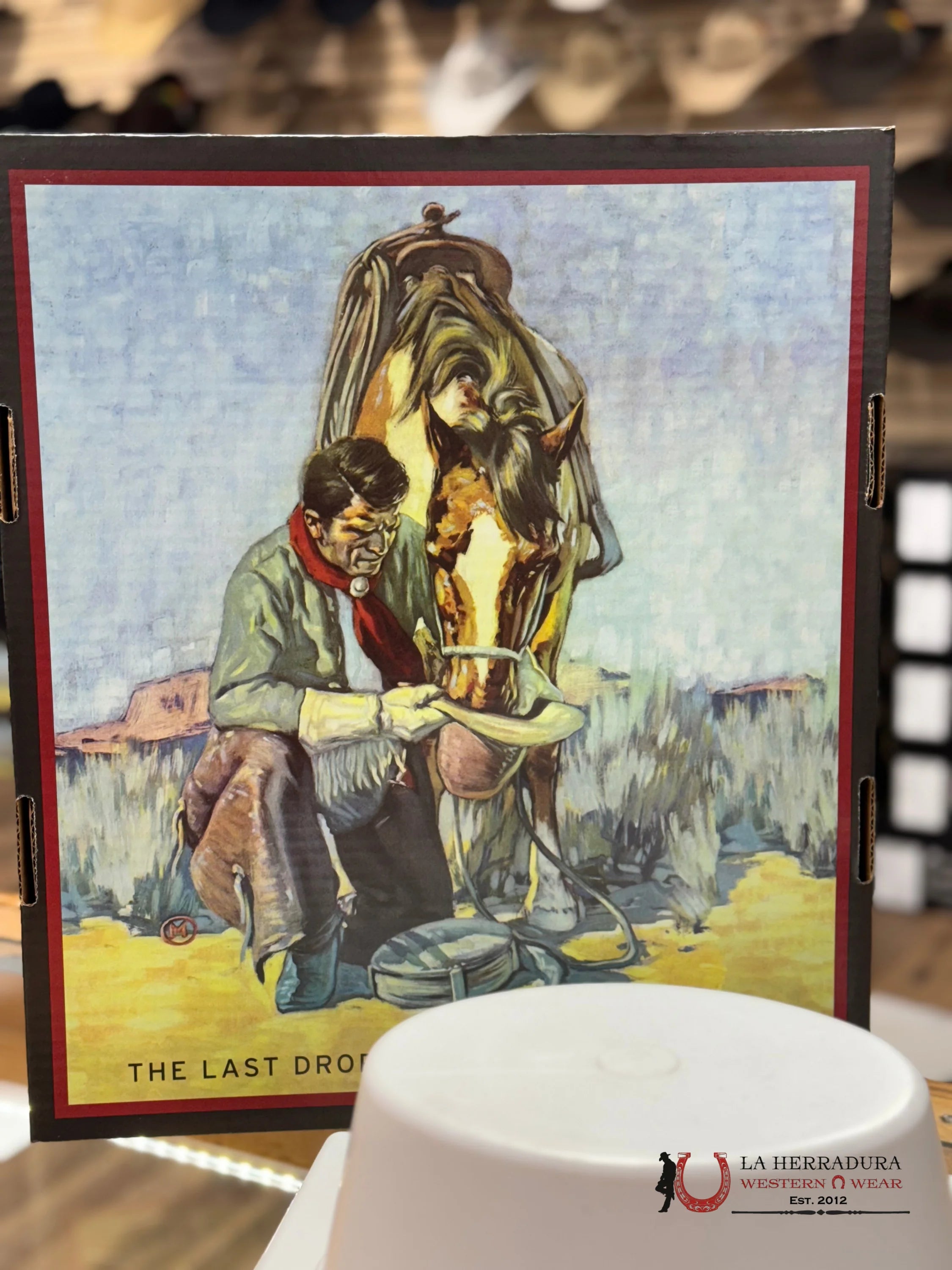 Stetson 6X Rancher Copa Alta Silver Grey Tejana