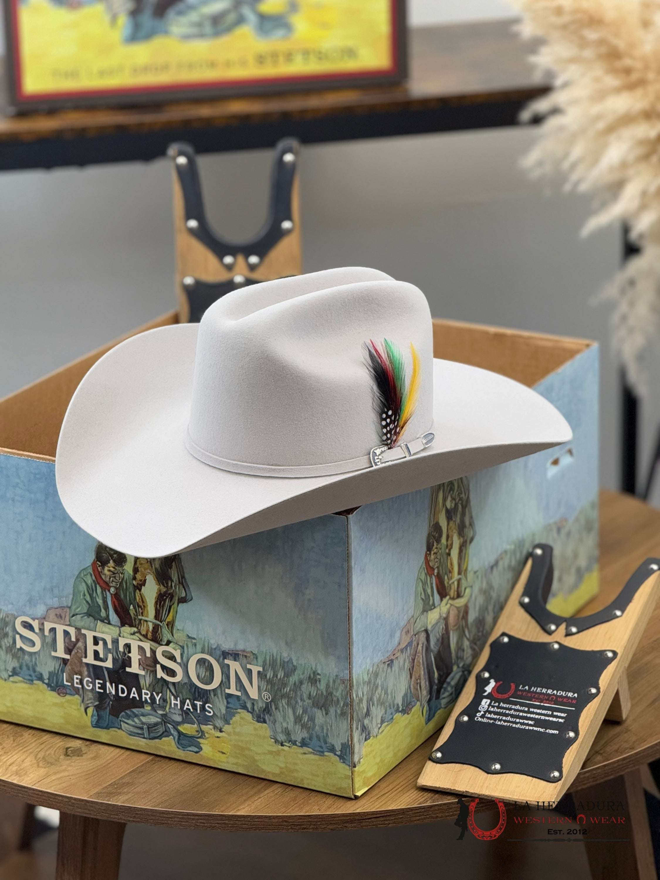 Stetson 6X Silver Grey Skyline Tradicional Tejana