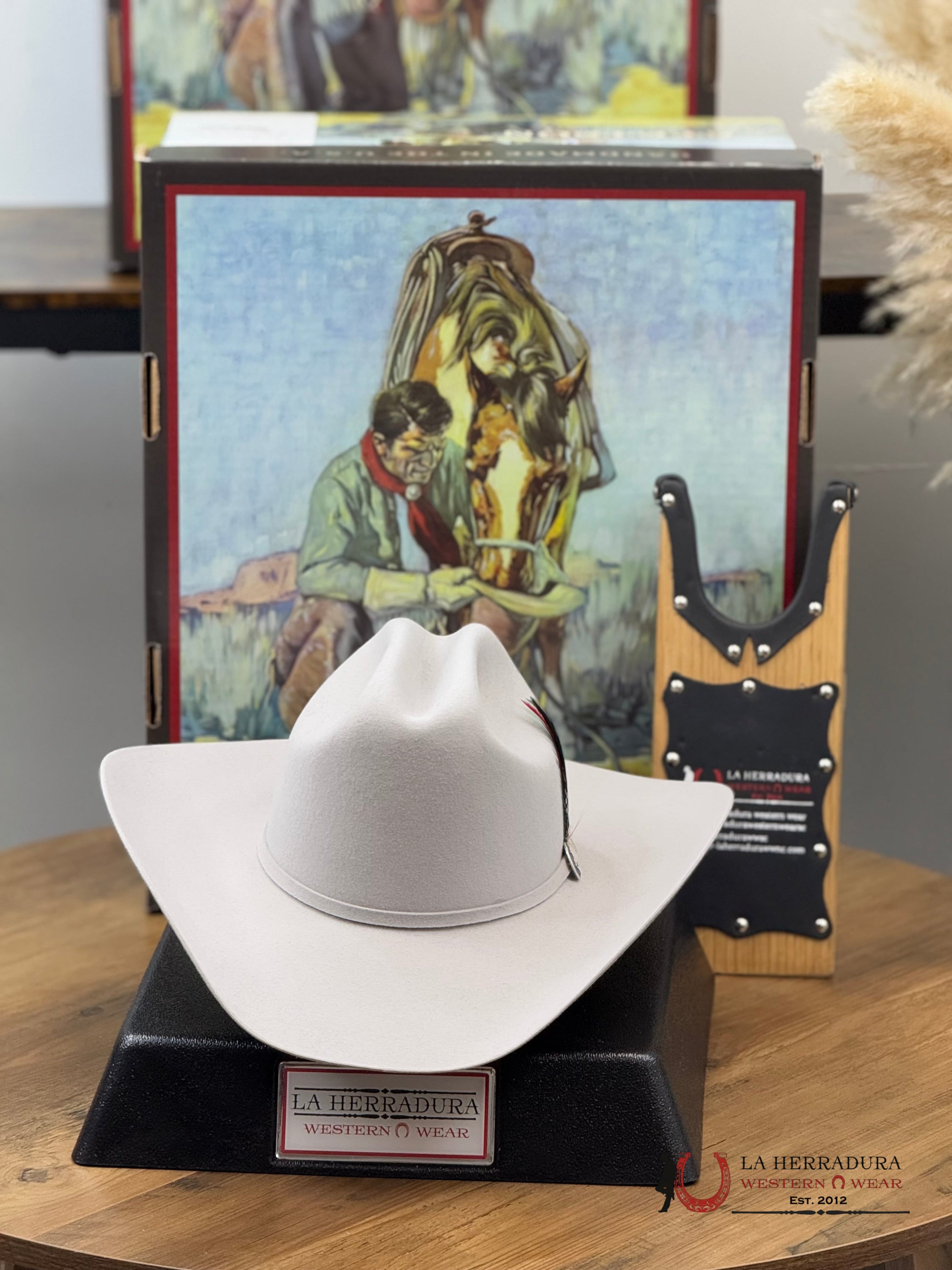 Stetson 6X Silver Grey Skyline Tradicional Tejana