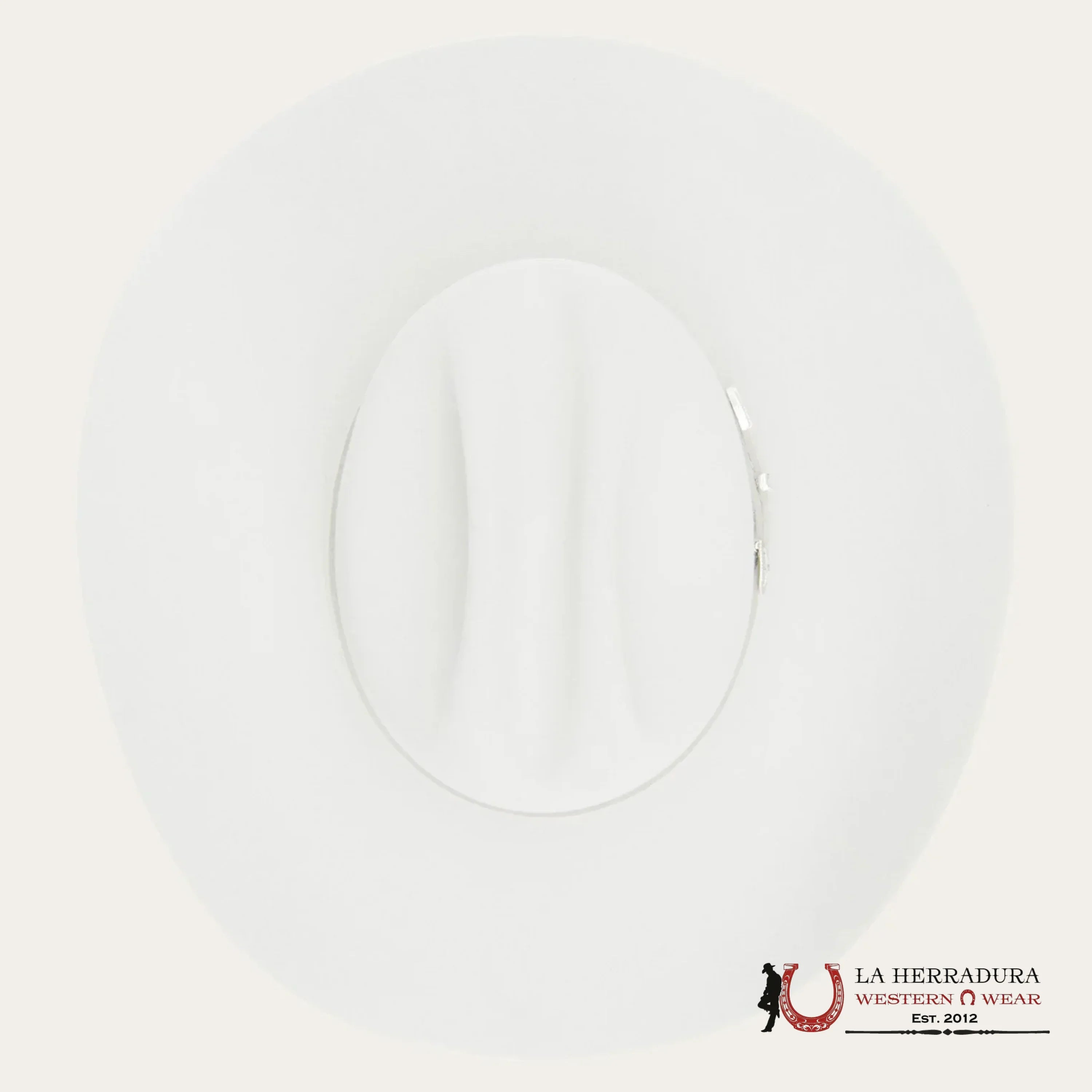 Stetson 6X Silver Grey Skyline Tradicional Tejana