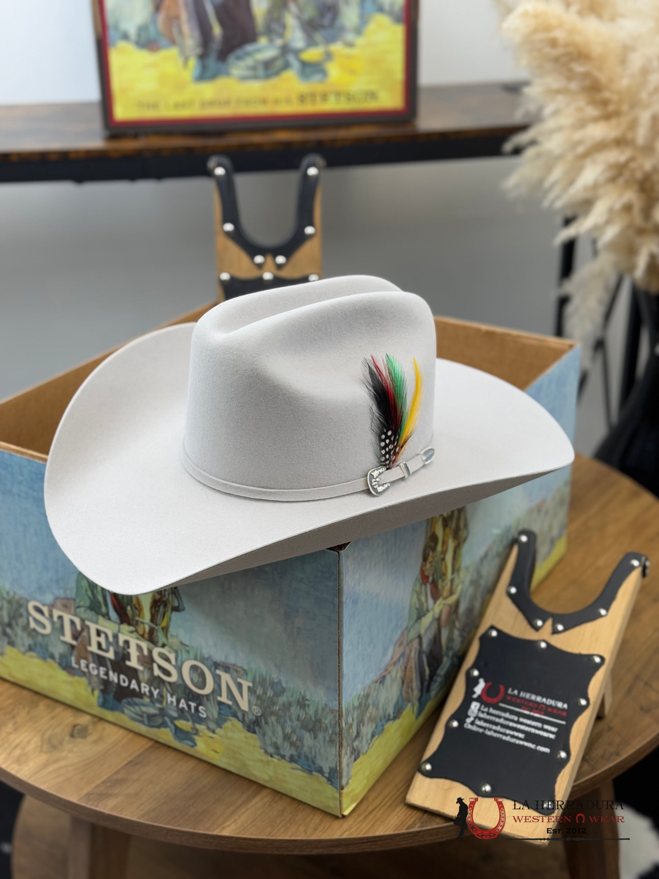 Stetson 6X Silver Grey Skyline Tradicional Tejana