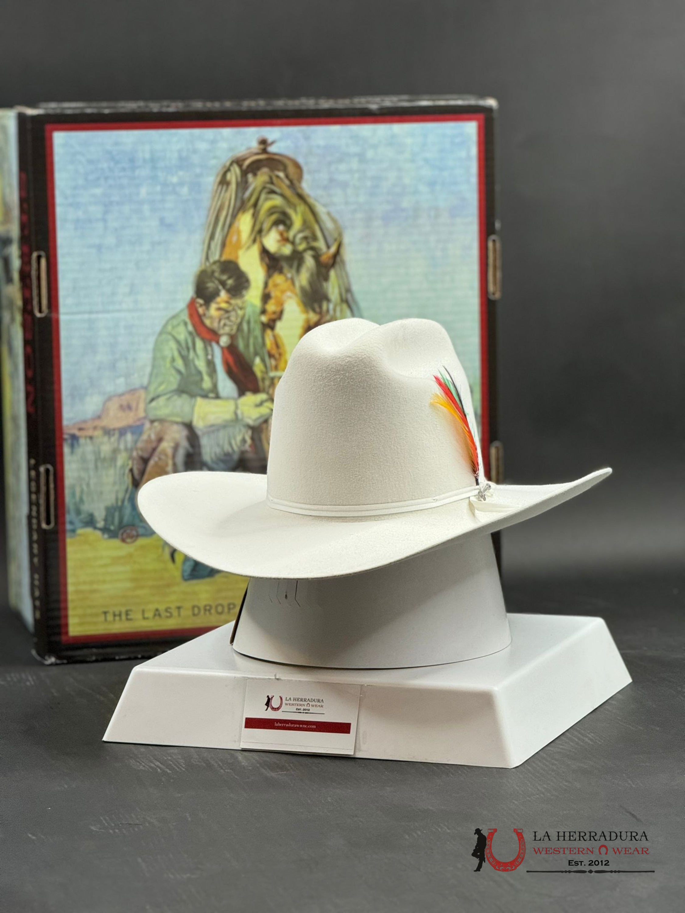 Stetson Rancher 6X White Tejana
