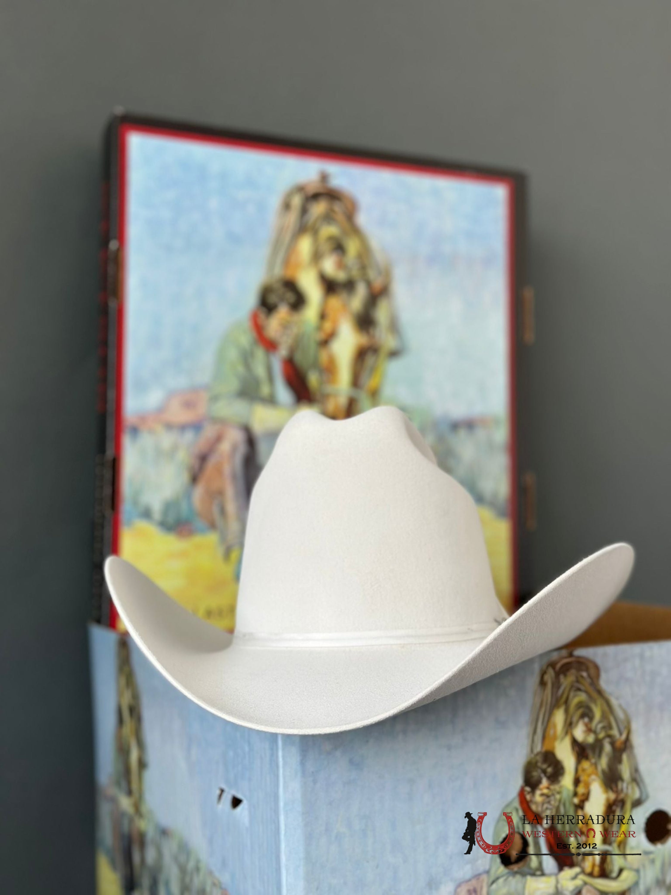 Stetson Rancher 6X White Tejana