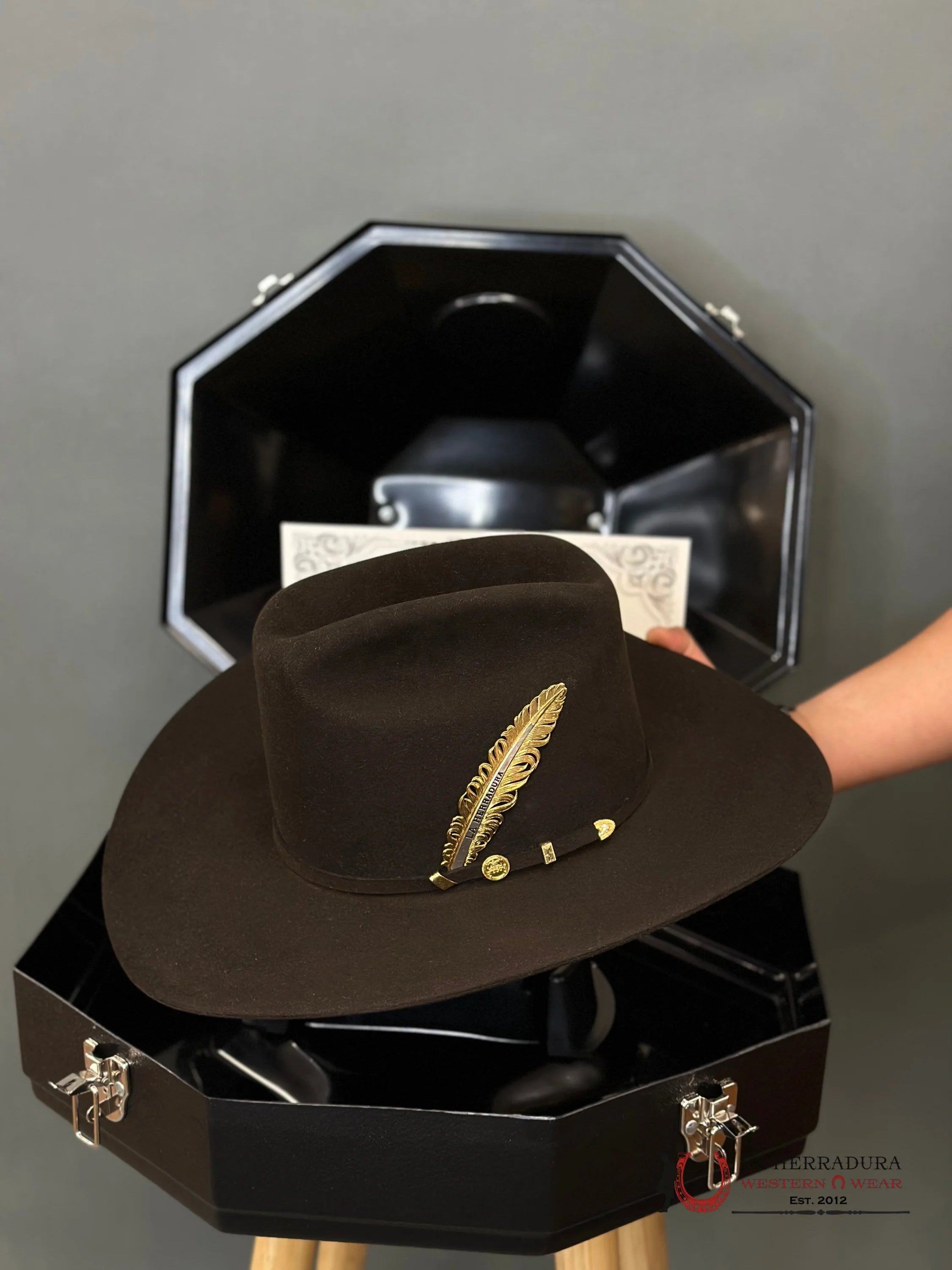 Stetson Cowboy Hat 100X El Presidente Chocolate Copa Alta Tejana