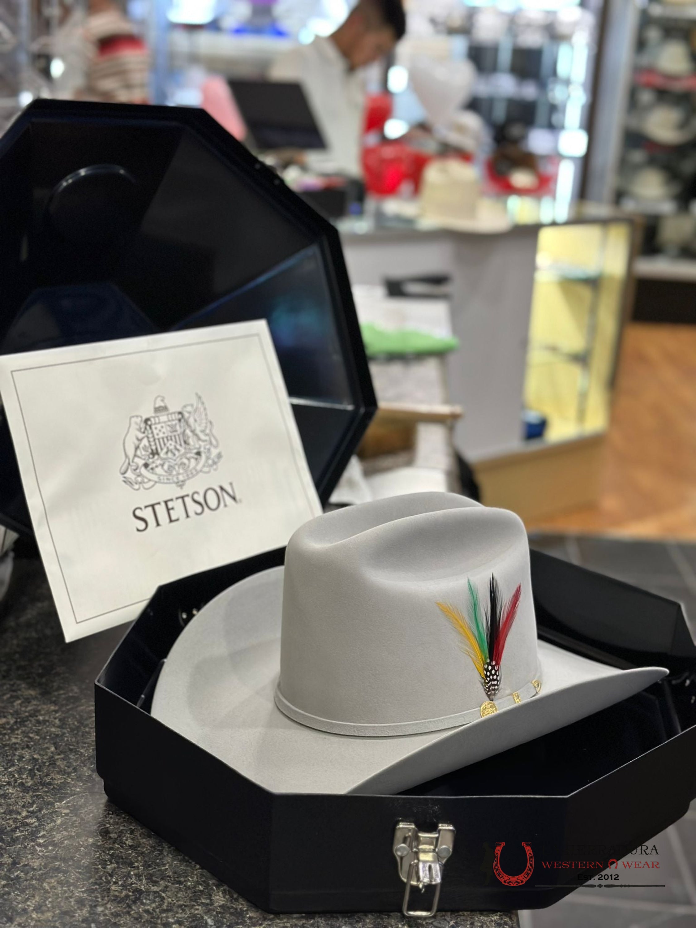 Stetson Cowboy Hat 100X El Presidente Mist Grey Copa Alta Tejana